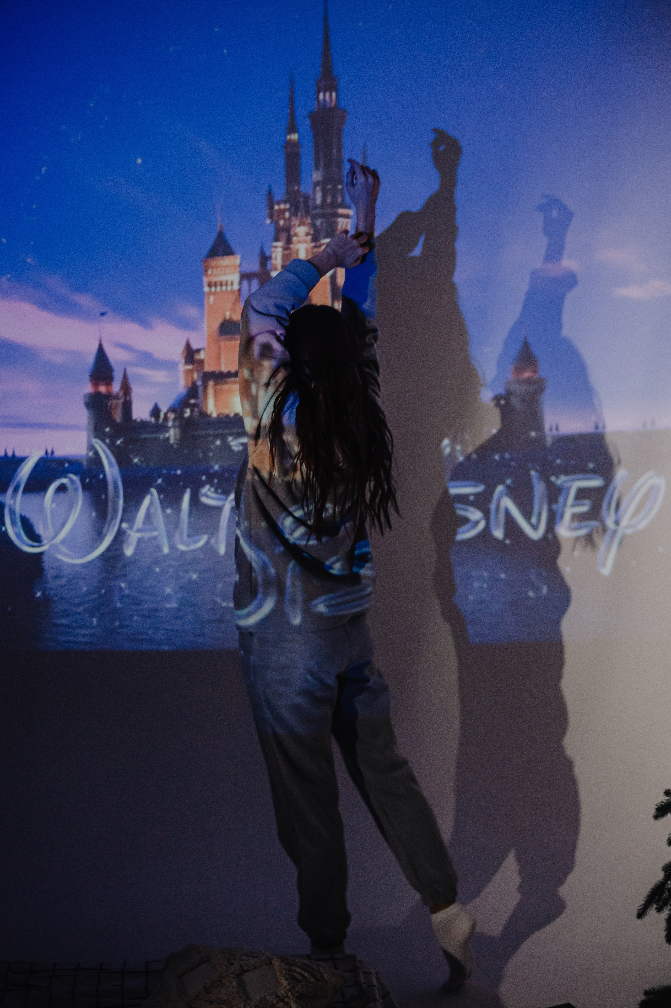 Теплая, с проектором. Фотограф Брянск