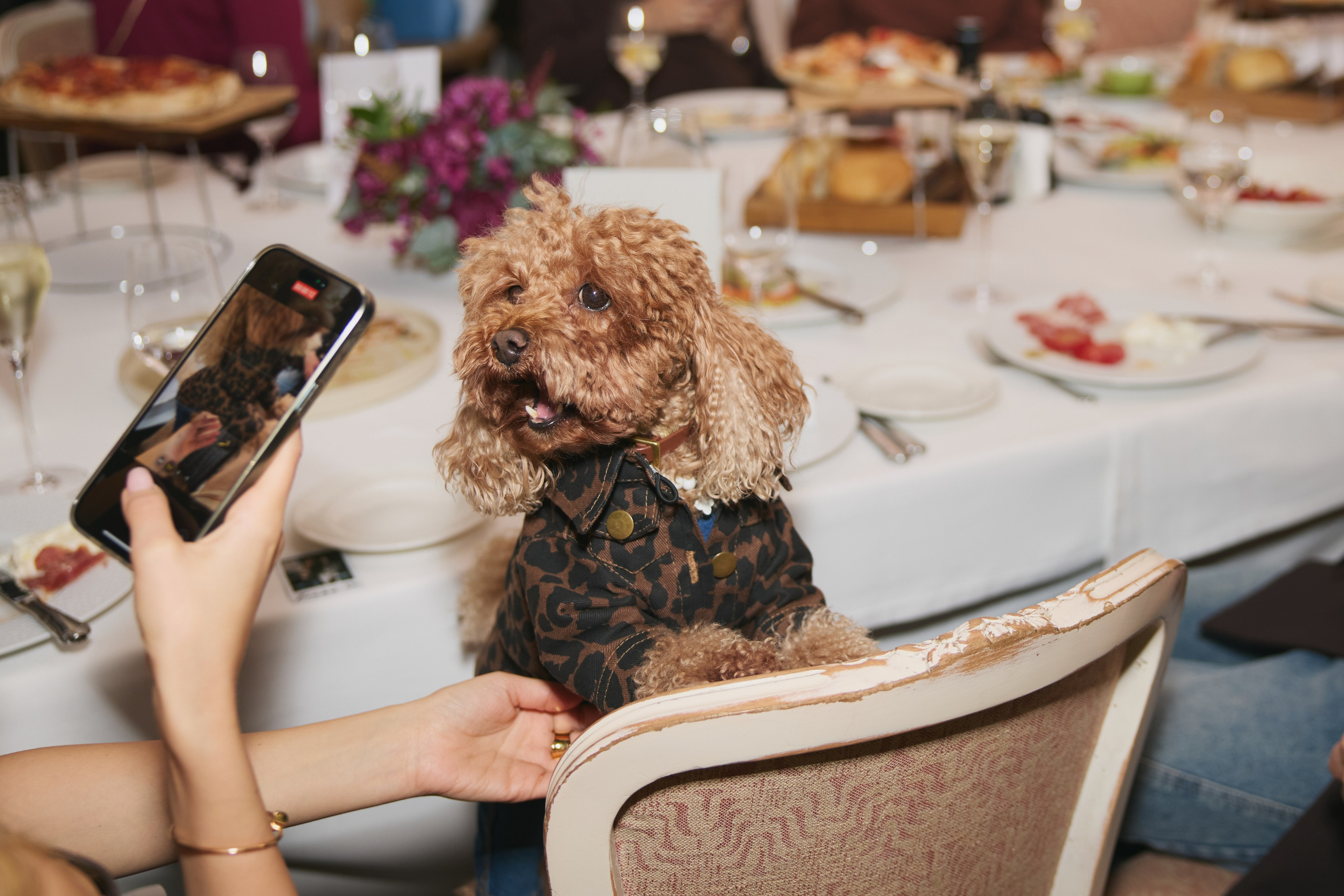 Пресс-бранч в честь юбилея бренда FIORE фото. Профессиональный фотограф Татьяна Евглевская