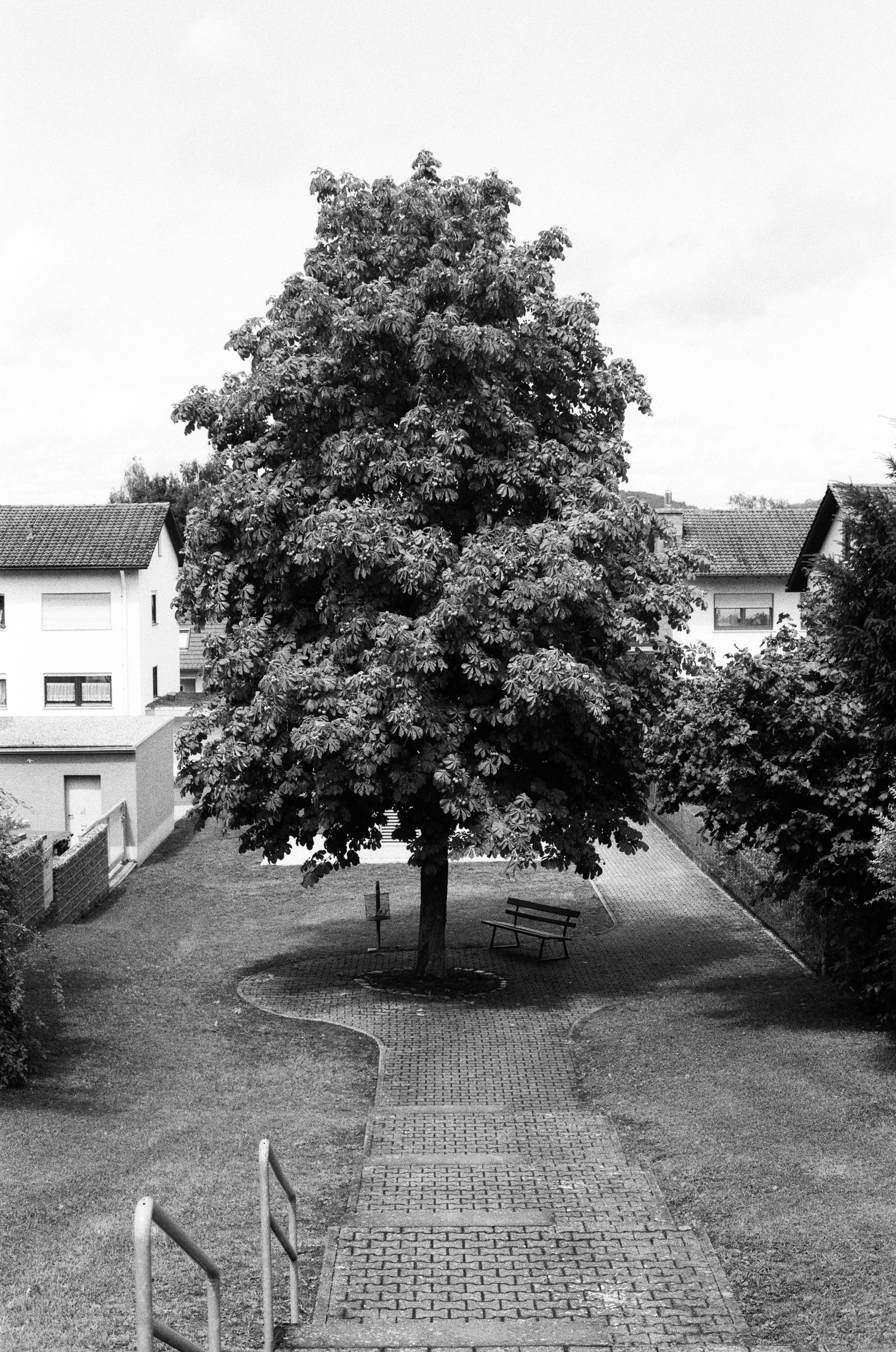 Fine art. Katya Zimina, film photographer