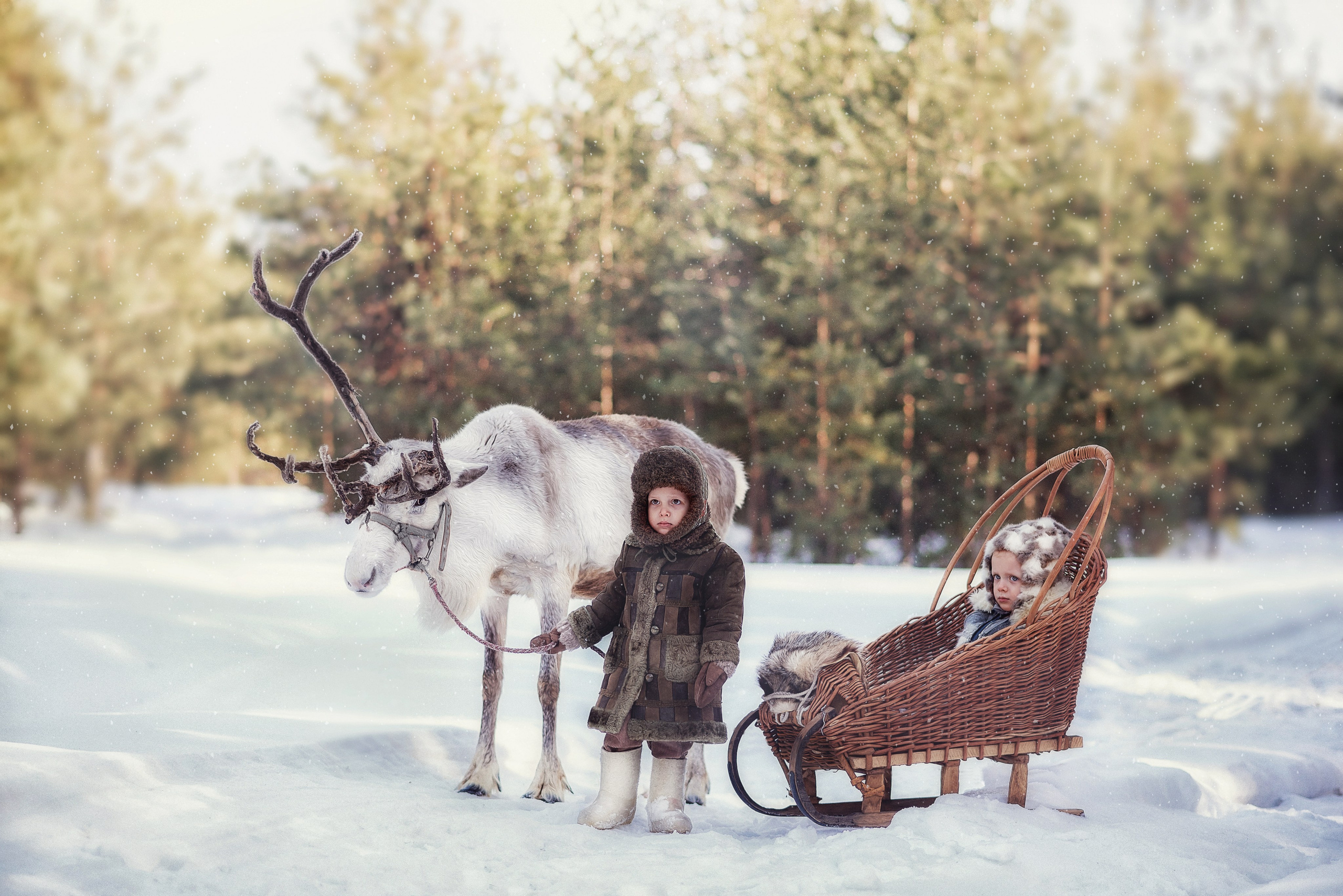 Любовь Владимирова Фотограф новорожденных и детей в Нижнем Новгороде