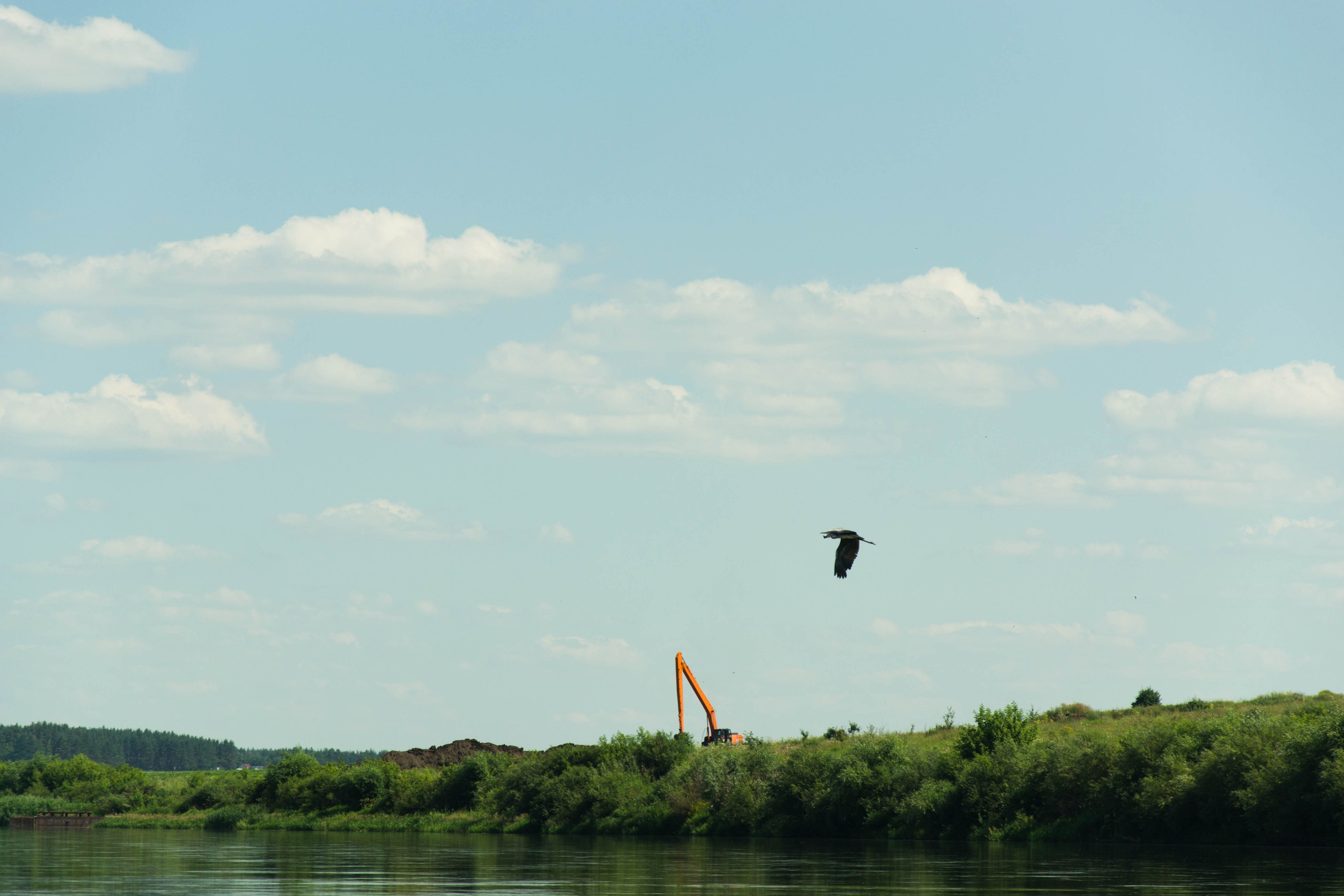 Дон. Главная