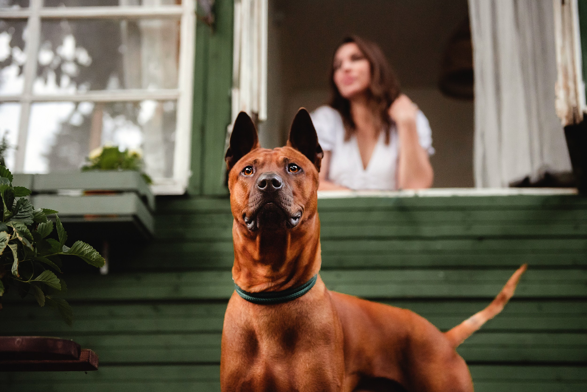 Оксана и Зевс на даче. Семейный Фотограф в Москве Ирина Хохлова