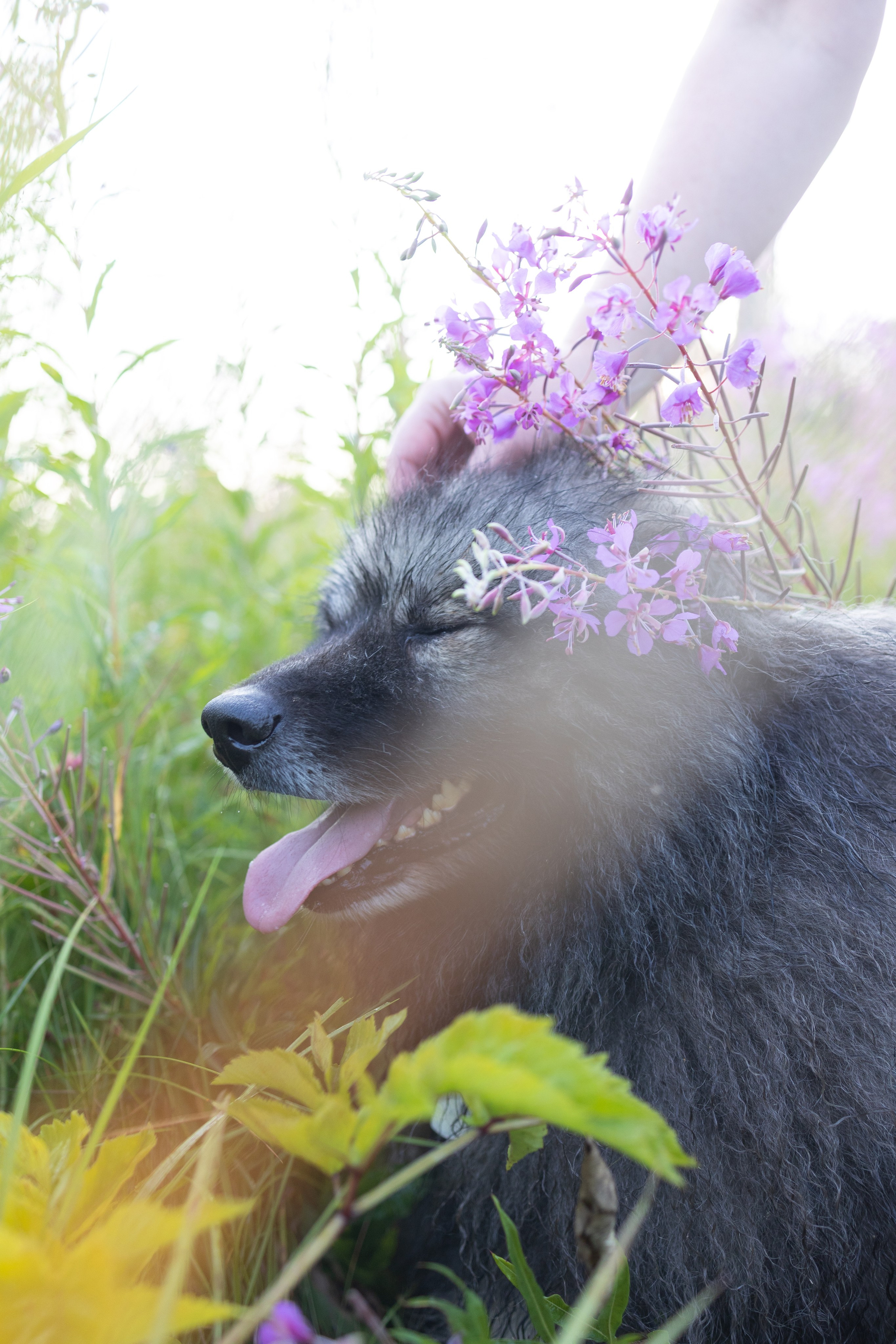 Вика, Аксель и Женя. Фотограф Ирина Астор