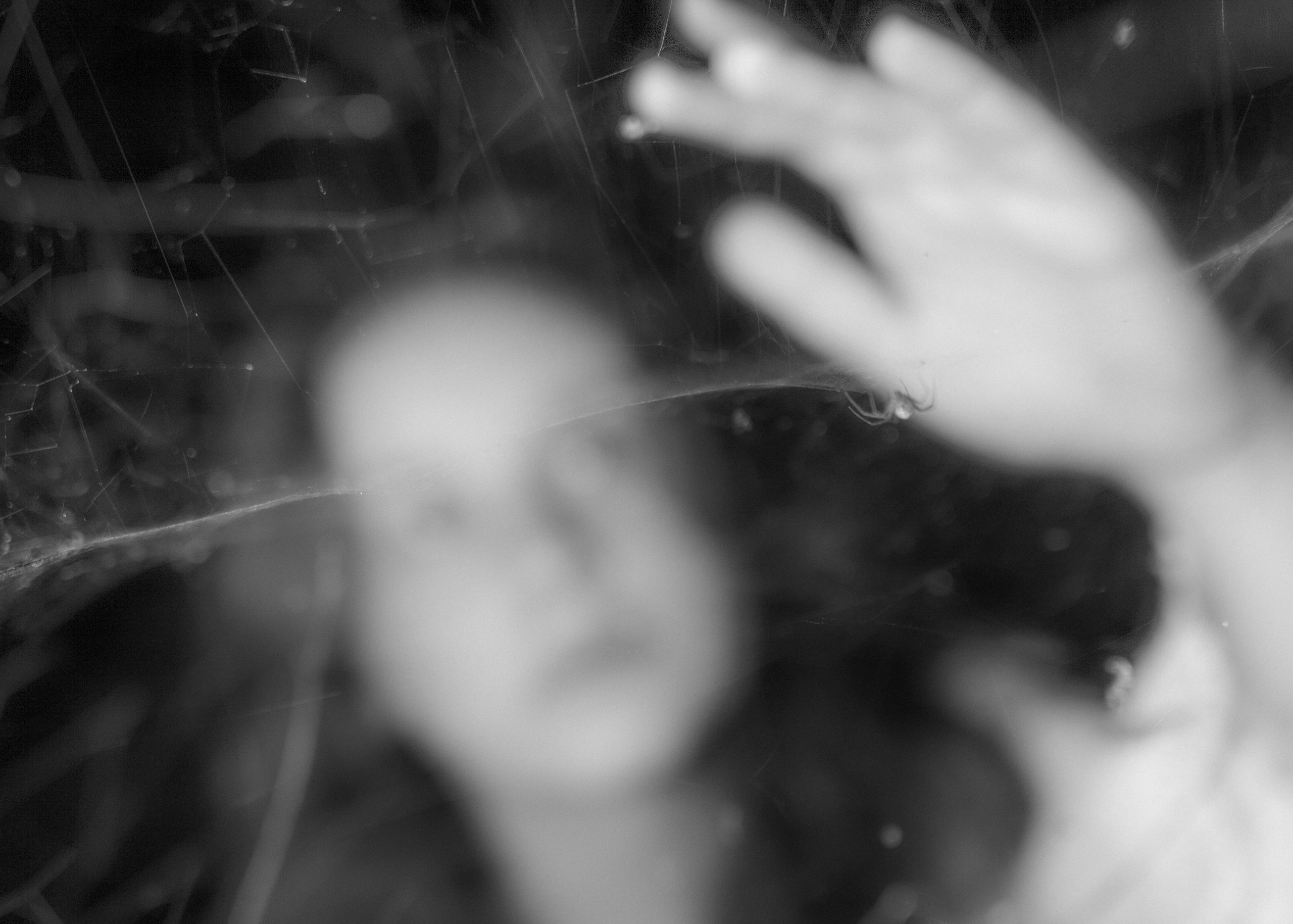 Алина. Фотограф и видеограф Даня Хазигалиев