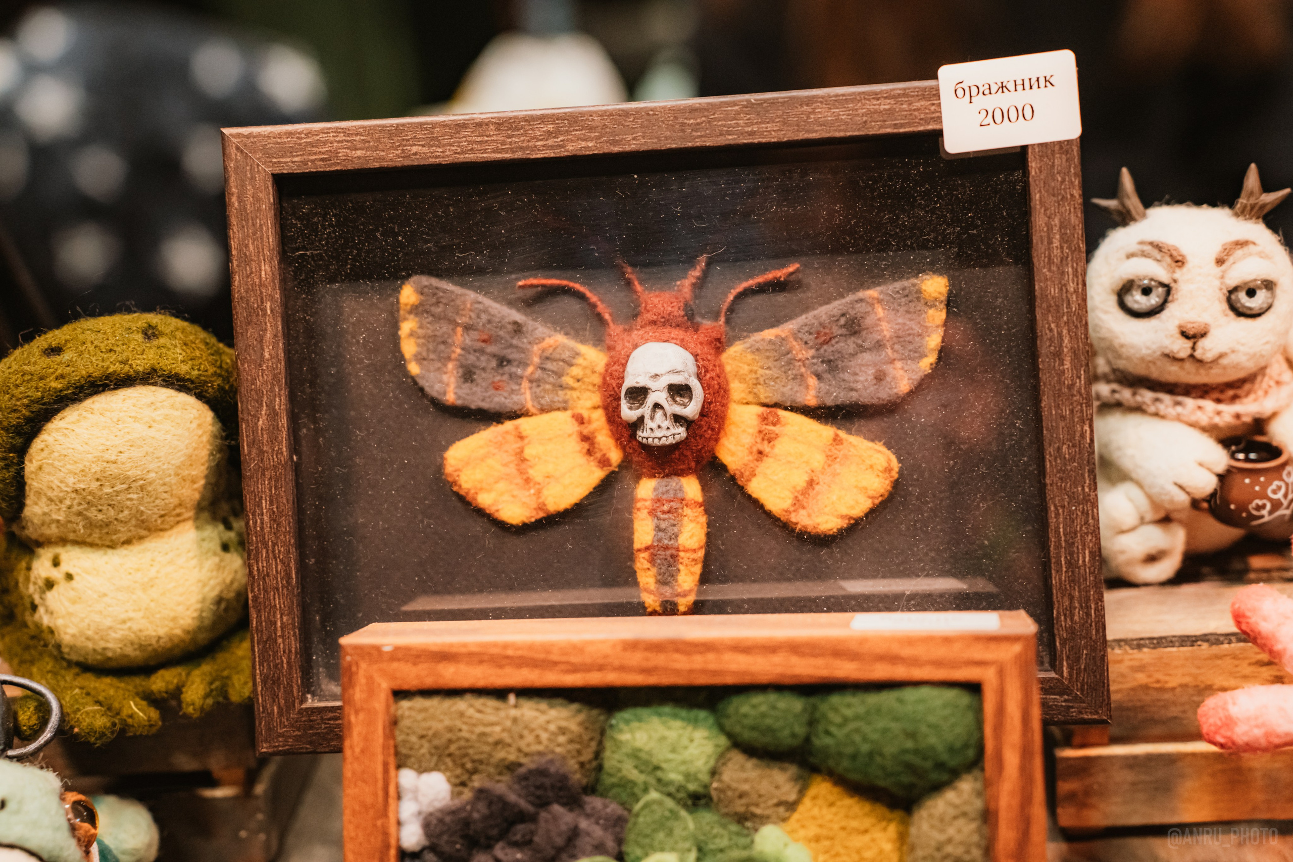 Рептилиум (ручная работа). Репортажный фотограф Анастасия Рубцова