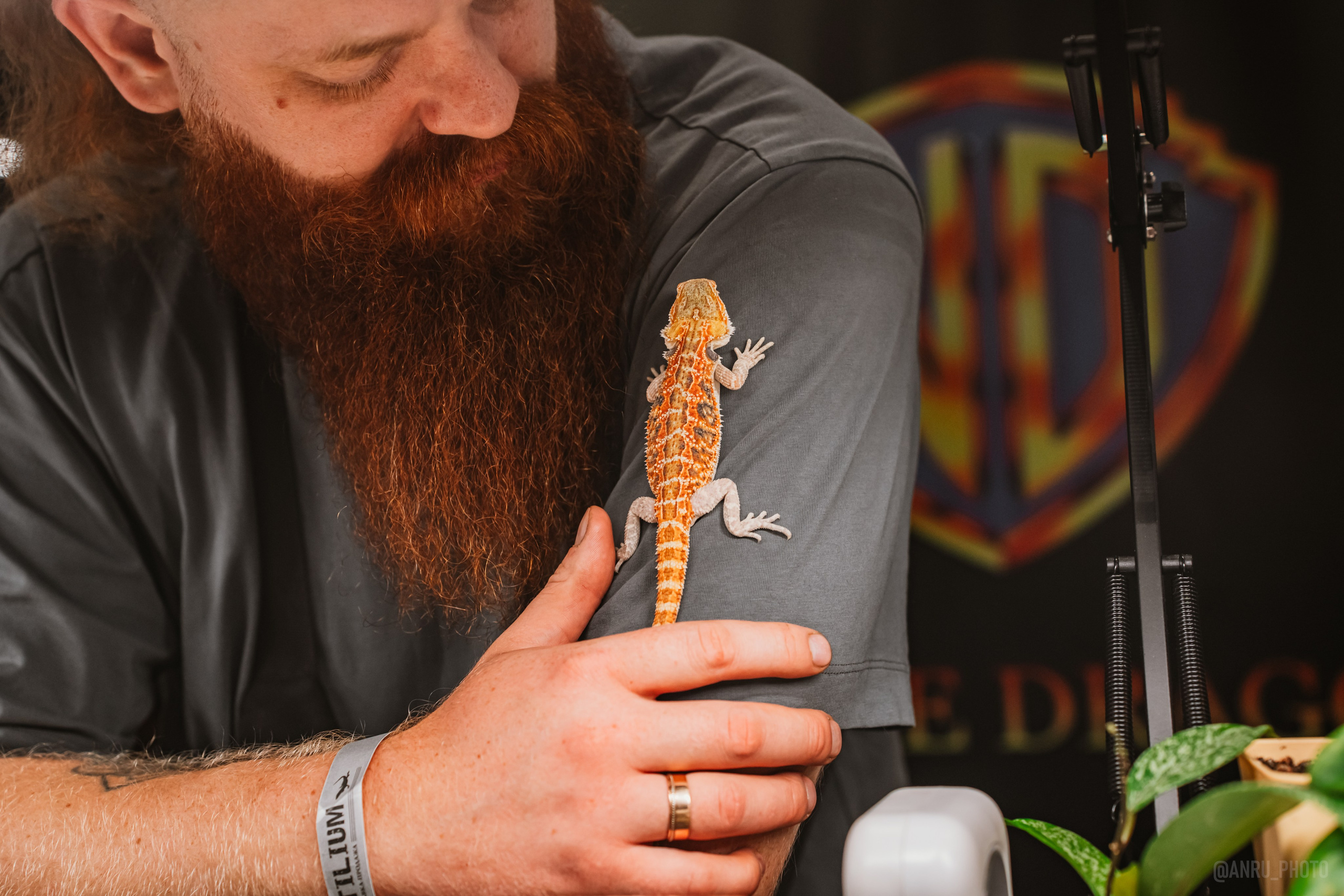 Рептилиум. Репортажный фотограф Анастасия Рубцова