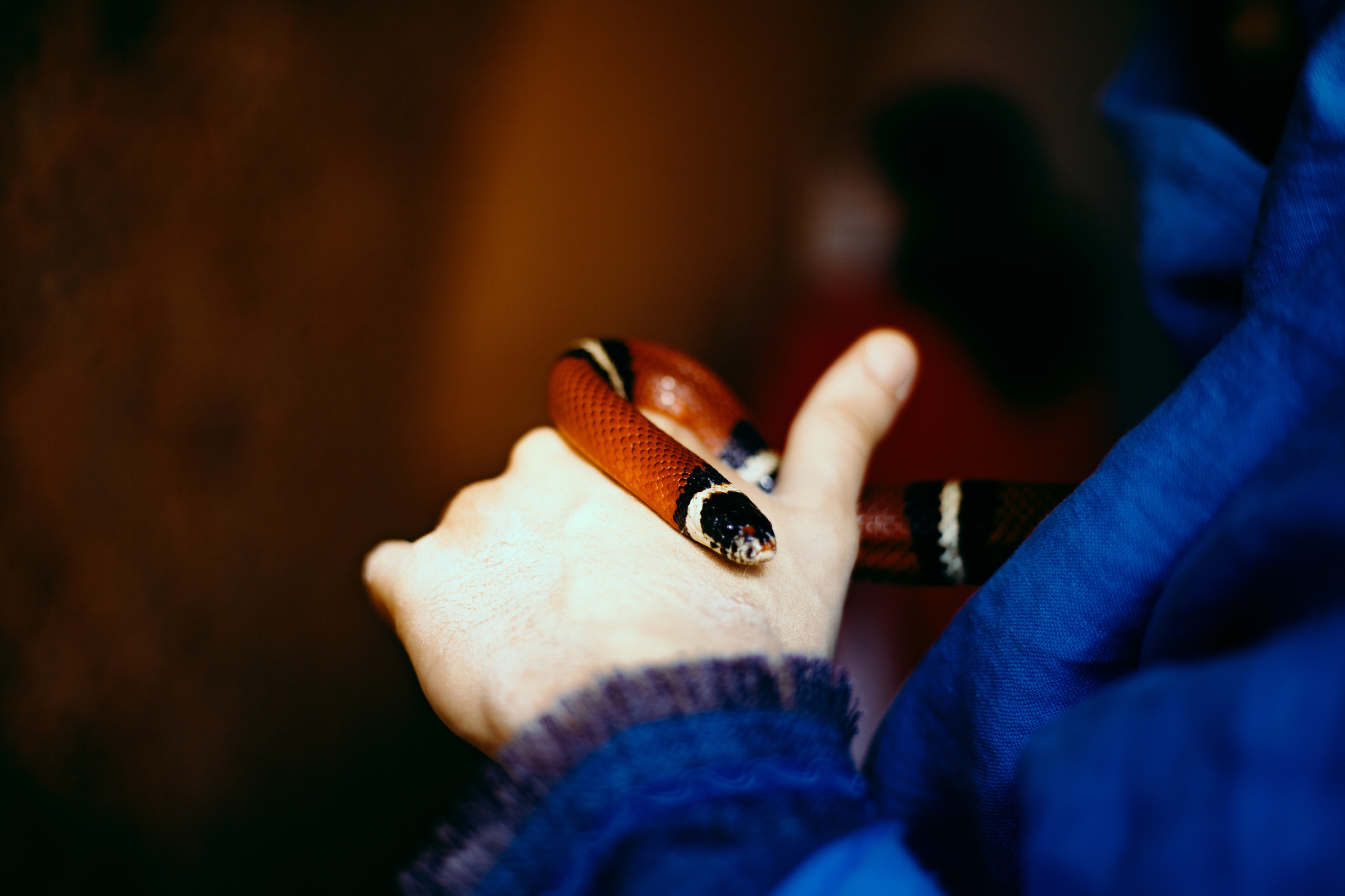 Мурад. Портретный фотограф в Москве Анастасия Пимова