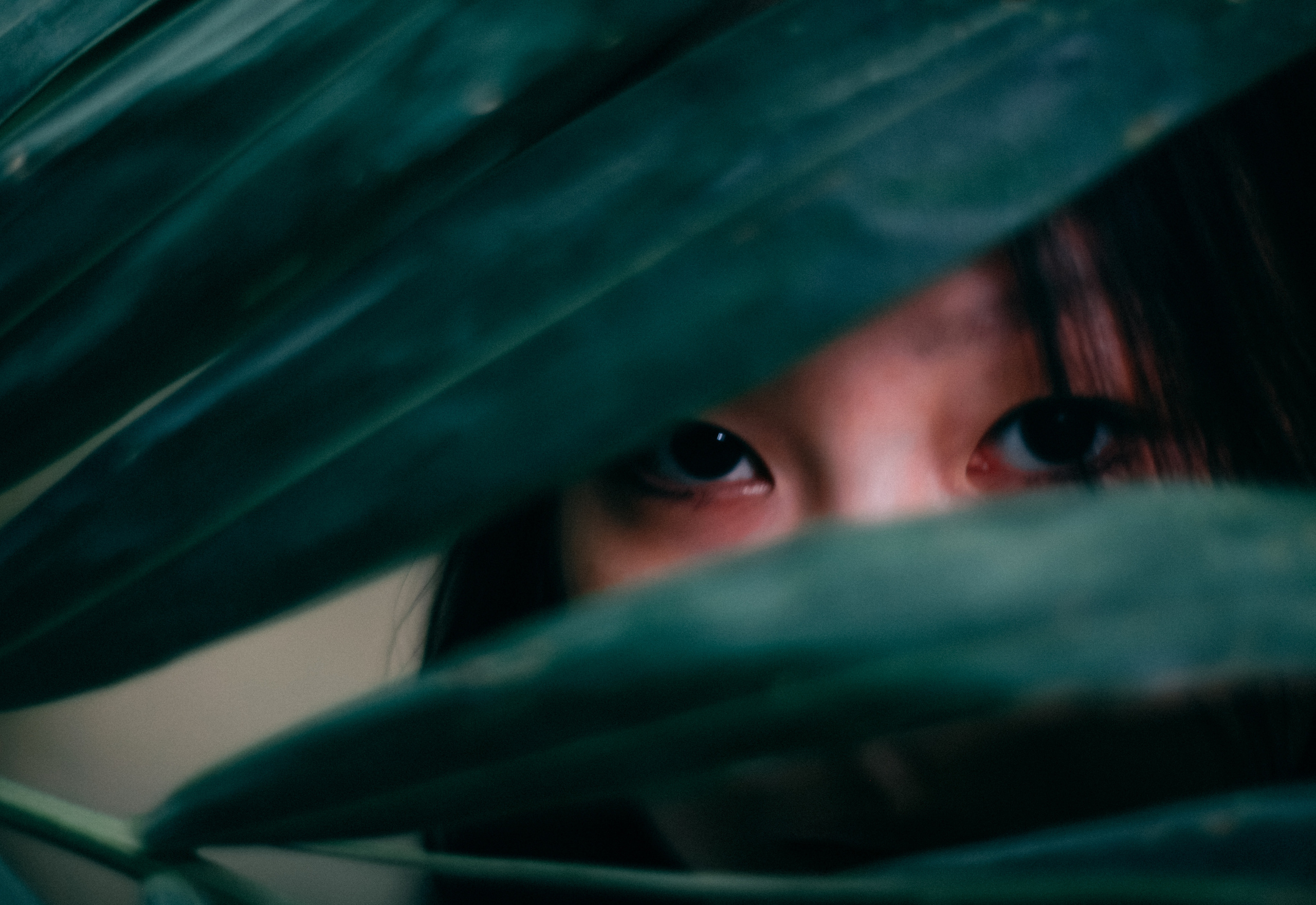 Олеся. Портретный фотограф в Москве Анастасия Пимова