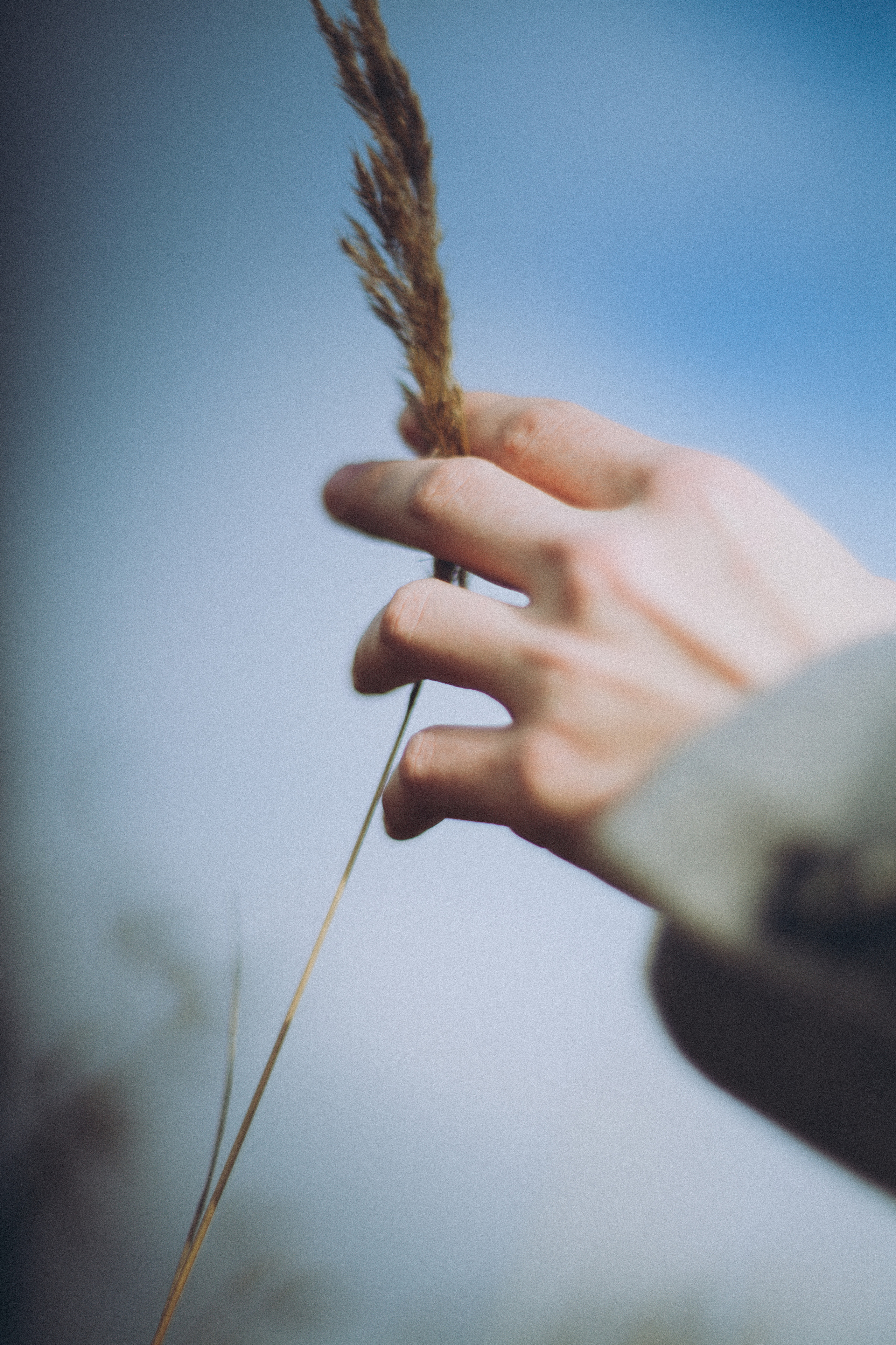 Кирилл. Портретный фотограф в Москве Анастасия Пимова