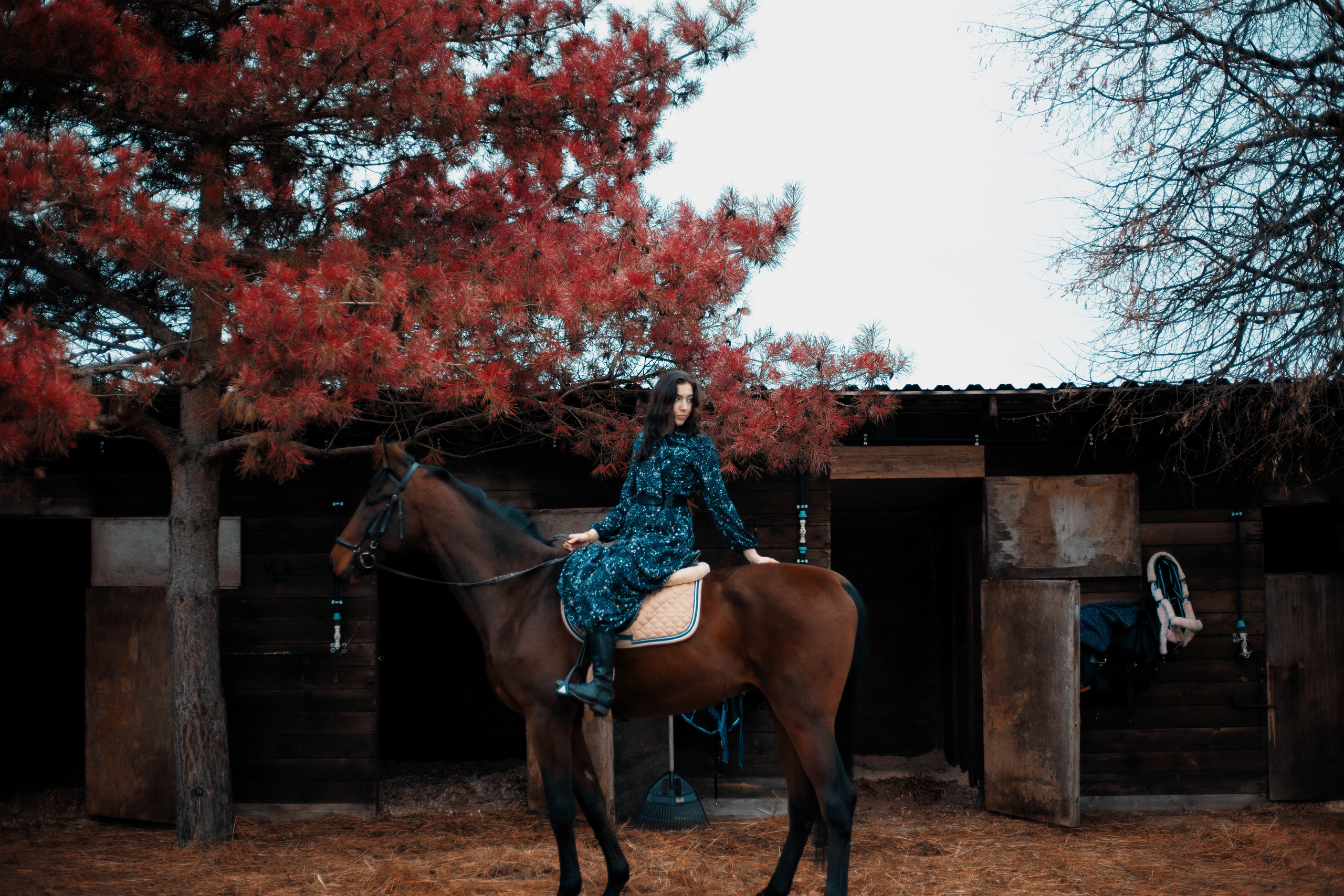 Виталина. Портретный фотограф в Москве Анастасия Пимова