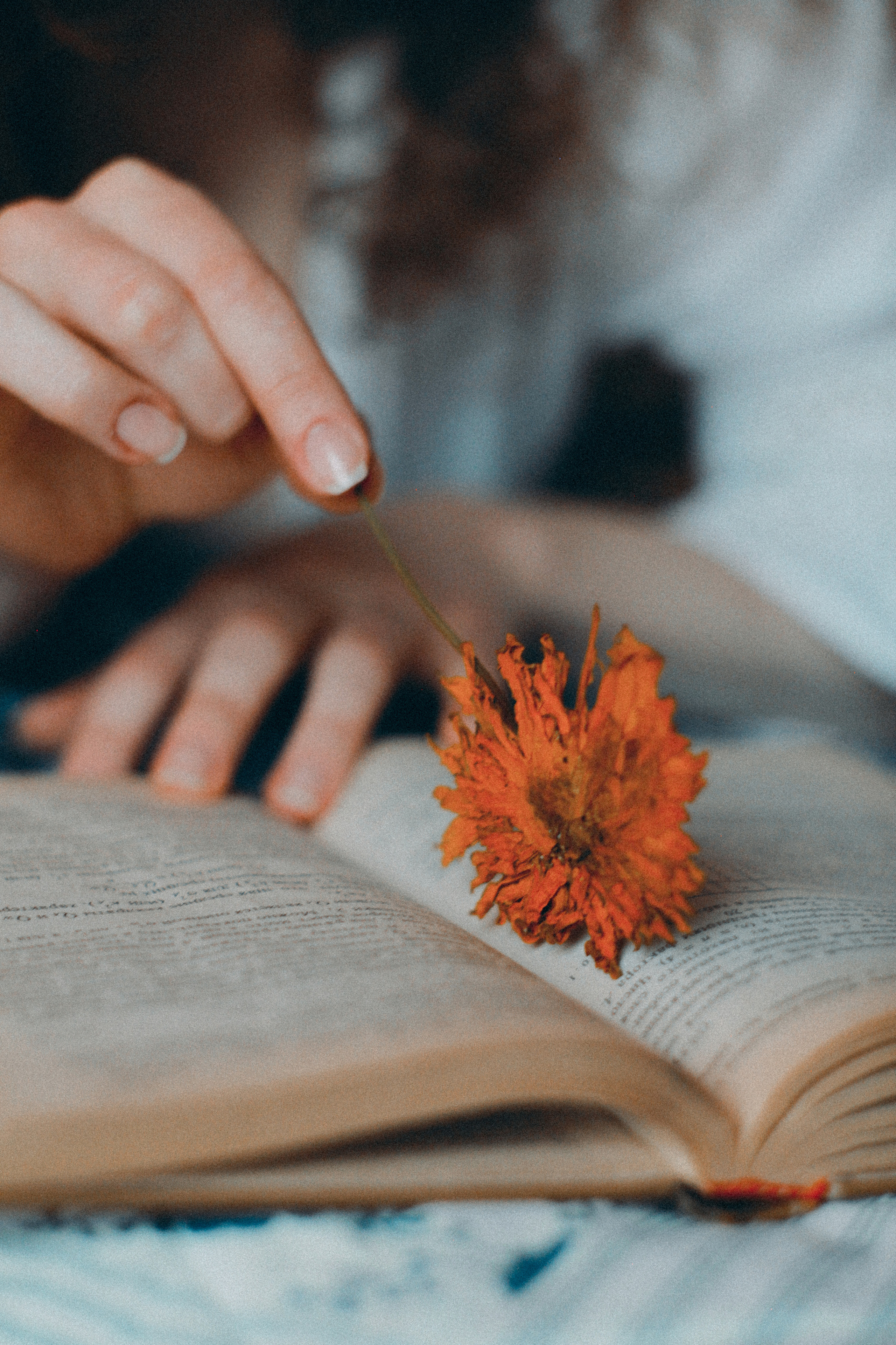 Василиса. Портретный фотограф в Москве Анастасия Пимова