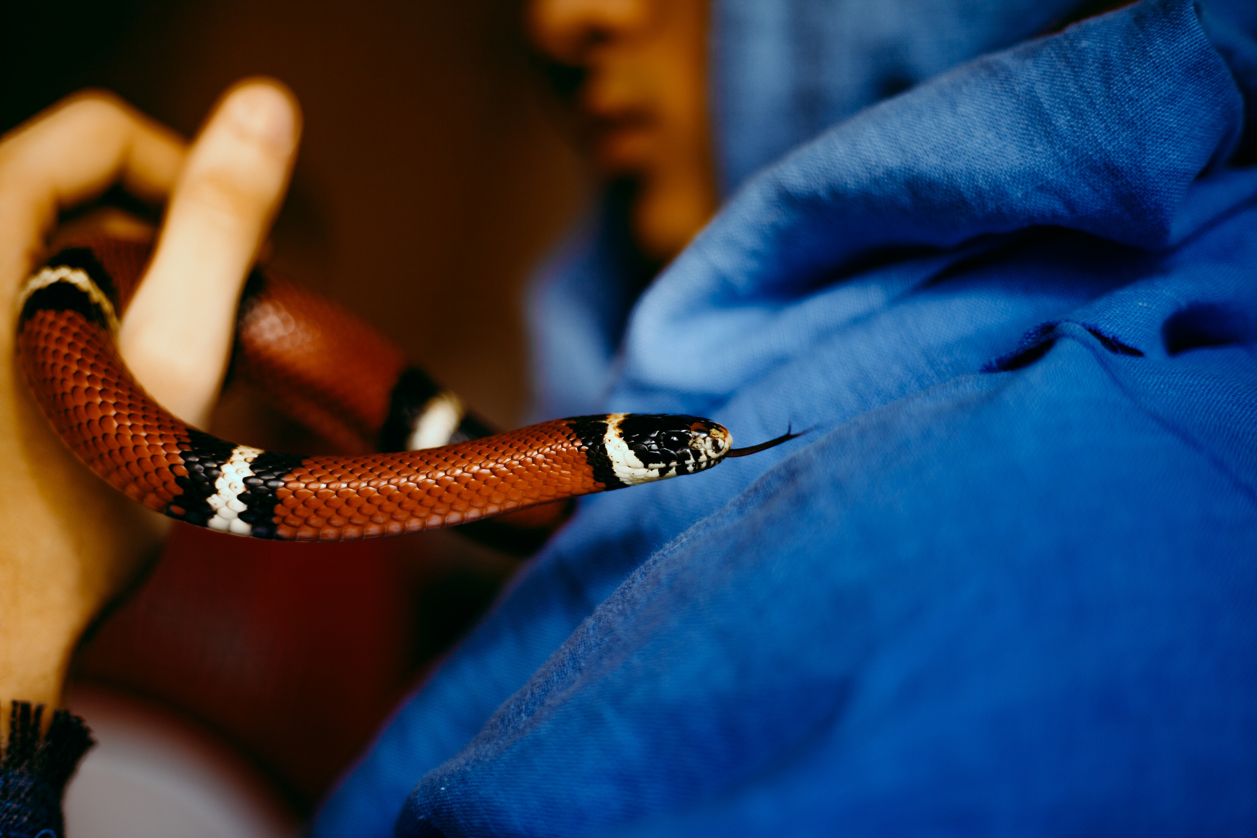 Мурад. Портретный фотограф в Москве Анастасия Пимова