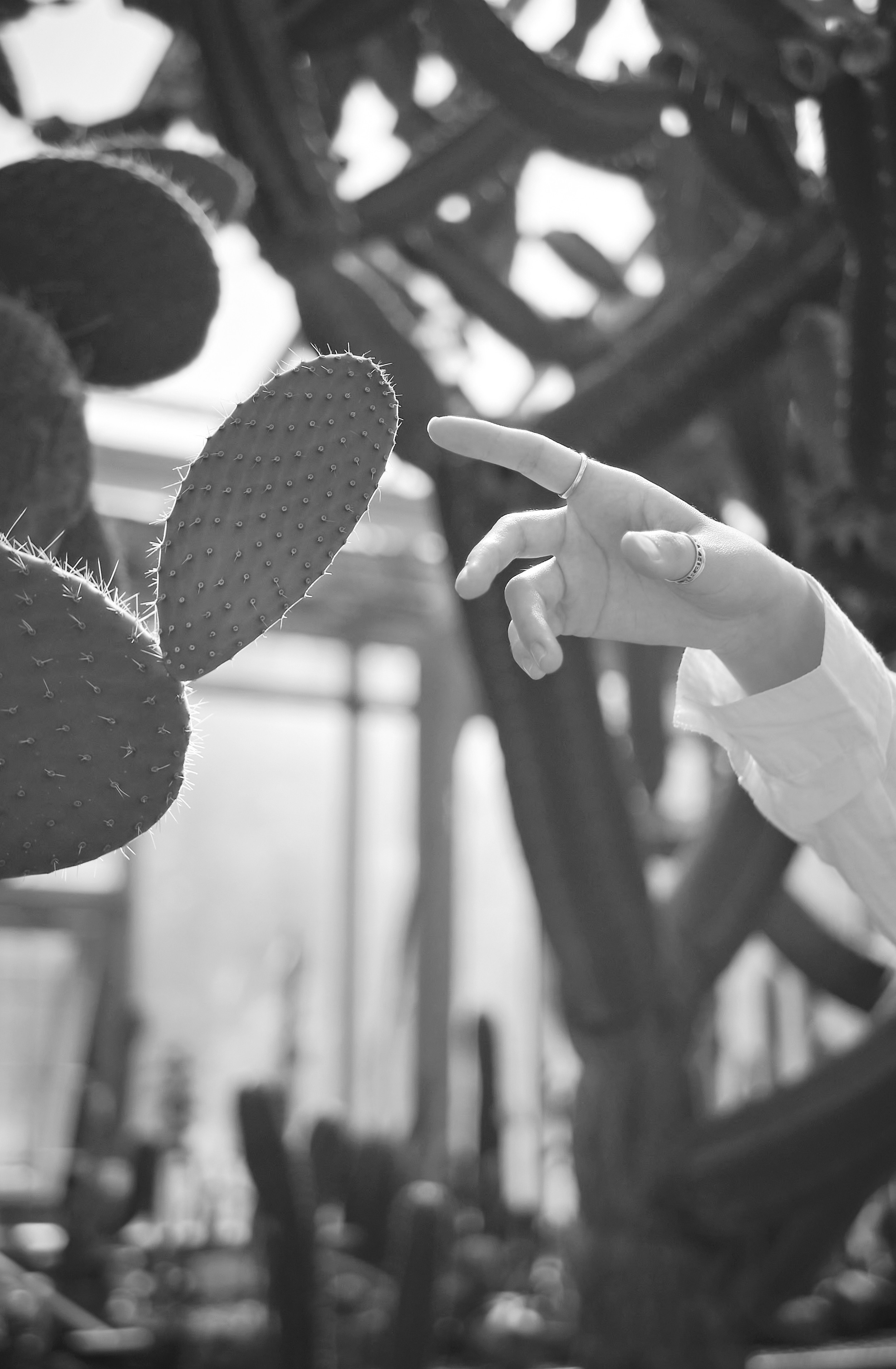 чёрно-белый портрет, стильный портреты, портретный фотограф в Санкт Петербурге, фотограф Маргарита Малкова, Margarita Malkova photo, black and white photographs 