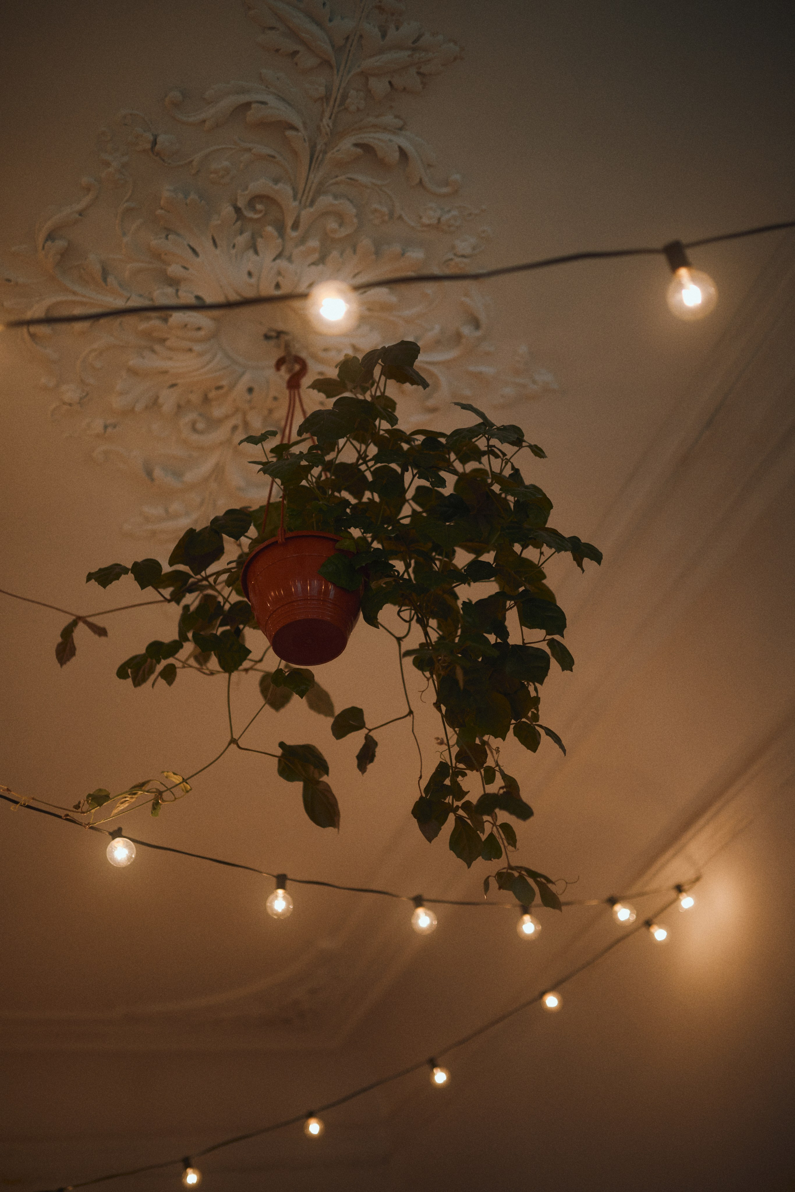 Таня и Богдан. Фотограф Ионова Анастасия, г Владивосток