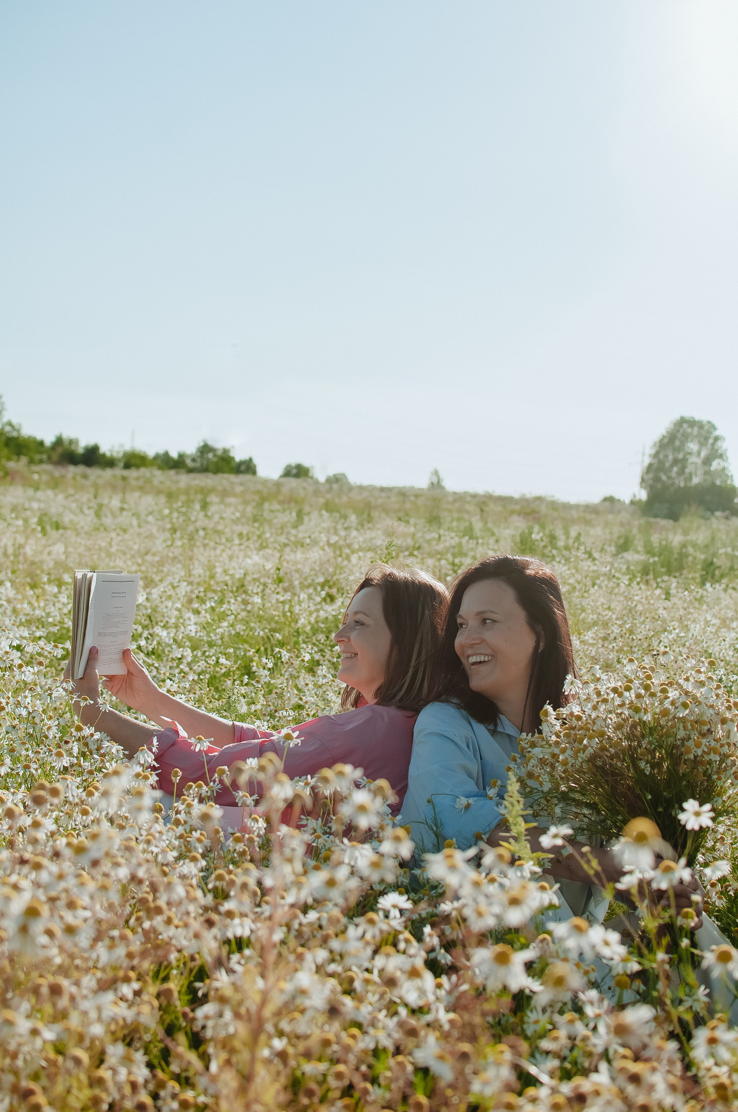 Привет ромашки