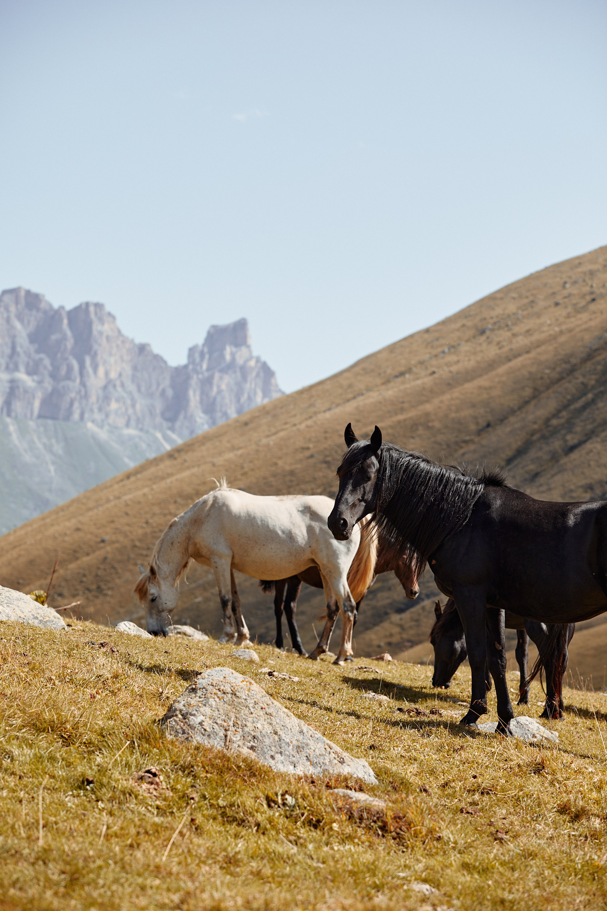 Озеро Гийбашкель. Фотограф Продюсер в горах КБР / Москва  Нальчик Горы