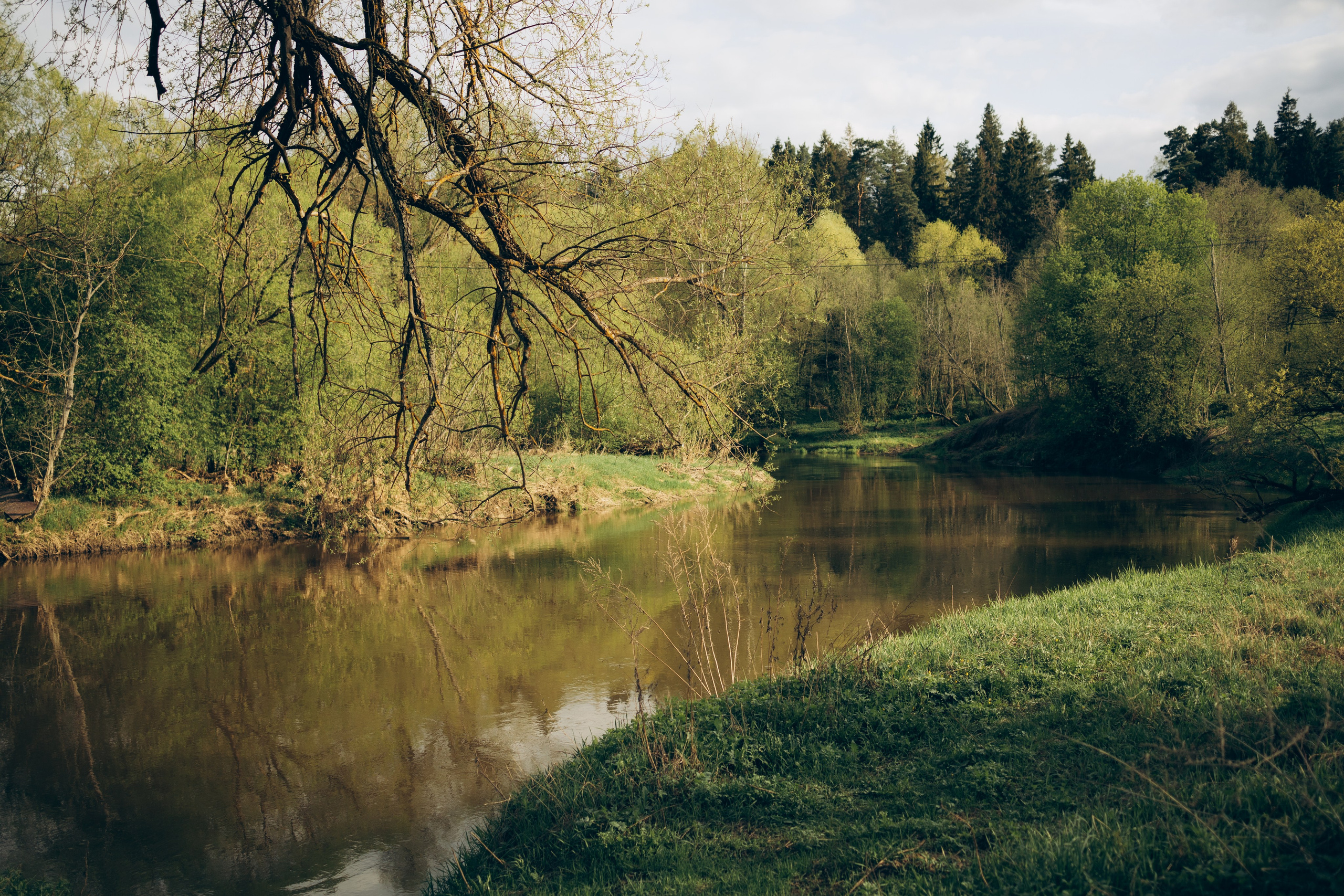 Istra. Женский фотограф Истра