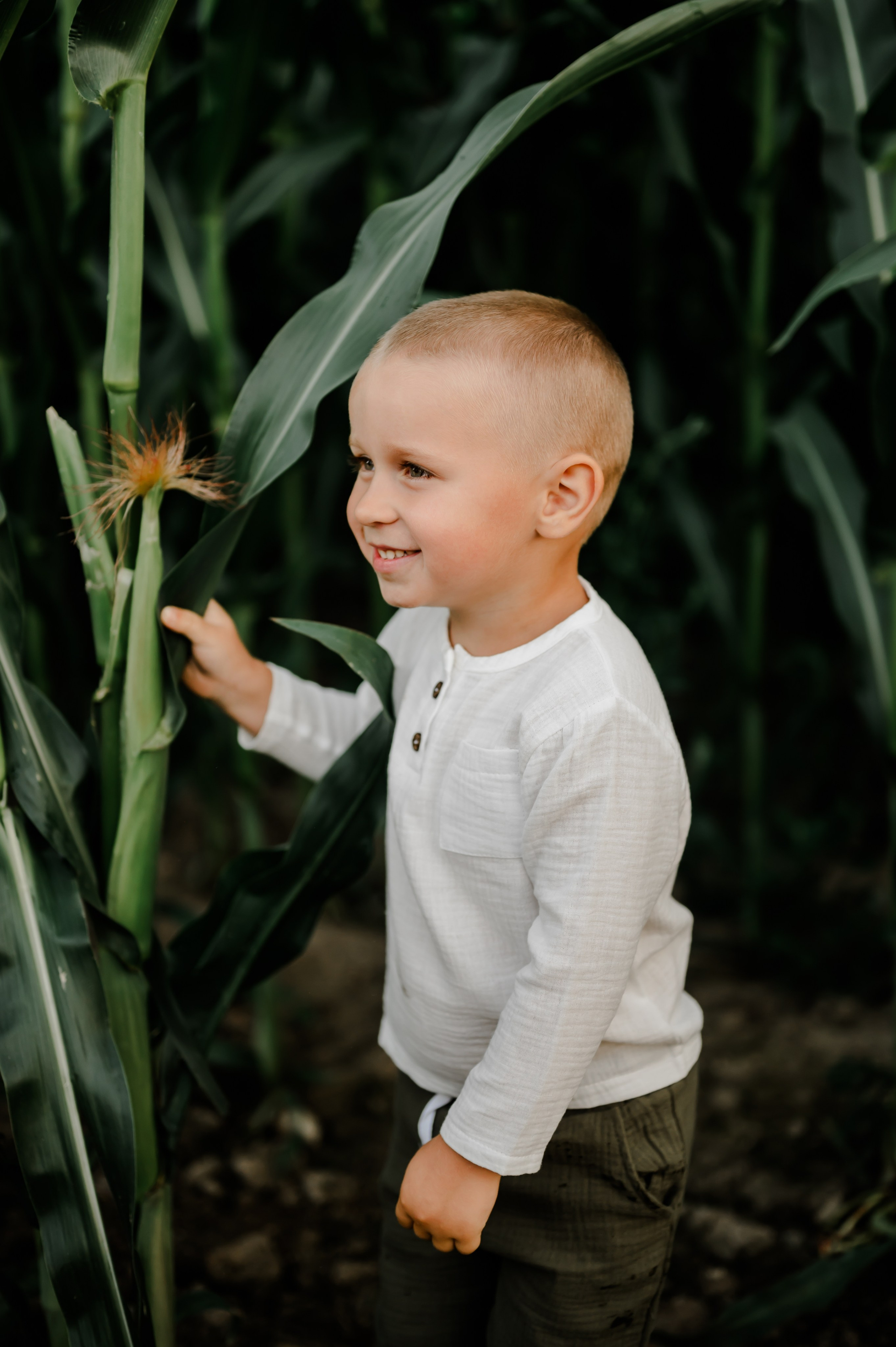 Кукуруза+сено, семейная фотосессия. Свадебный и семейный фотограф Евгения Кононова