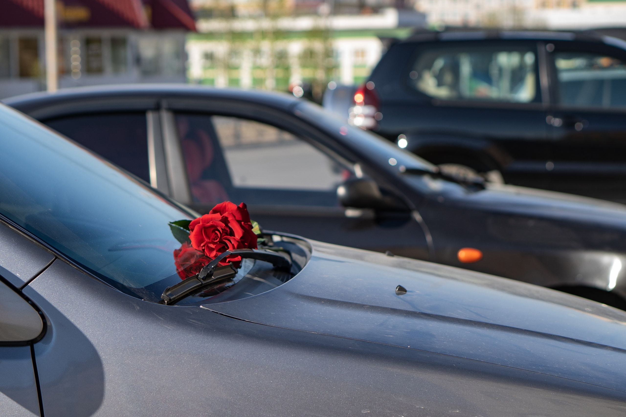 Город летом. Фотограф Екатерина Зорина