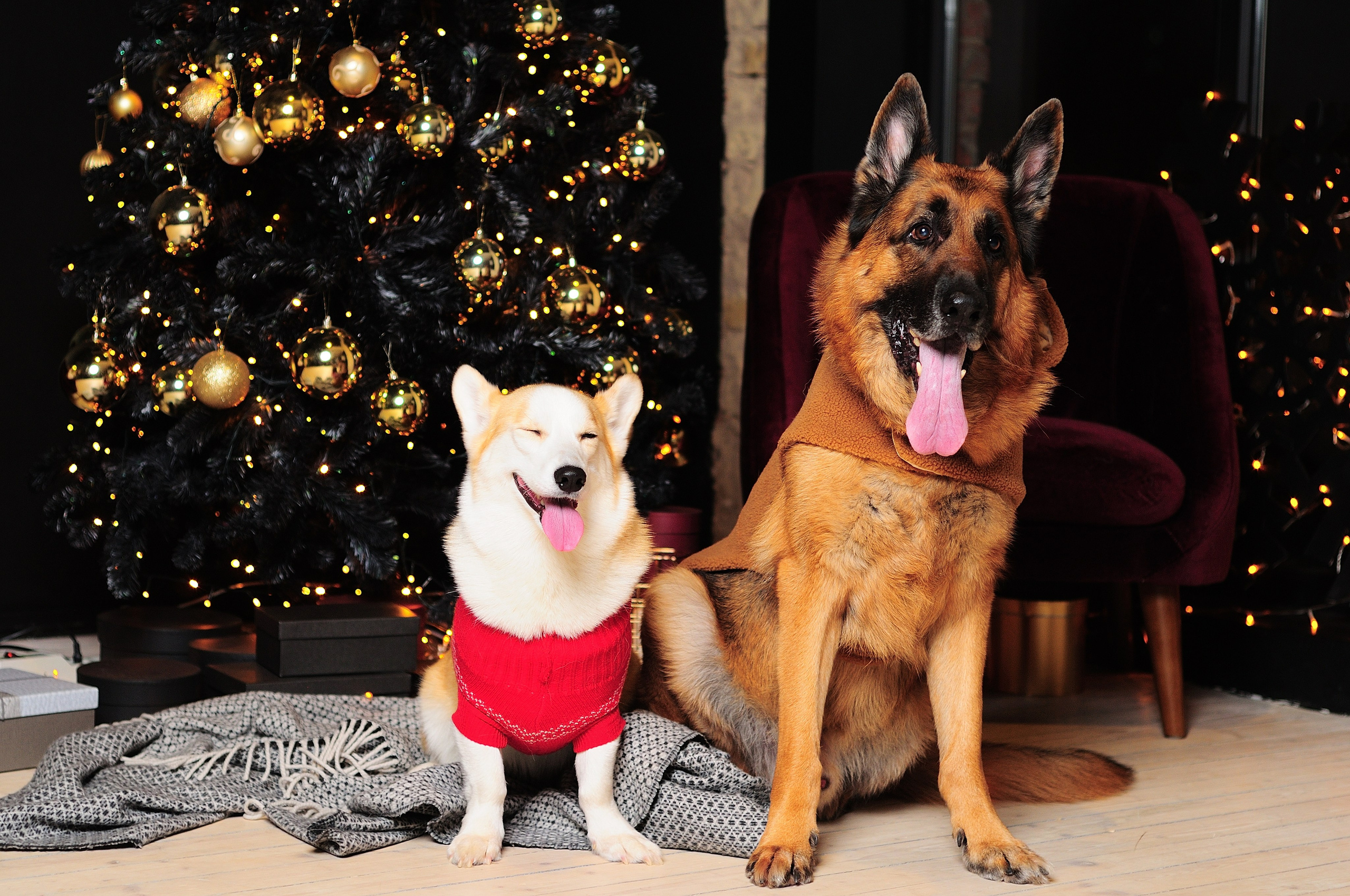 Новый год в студии. Ваш персональный фотограф в Москве ЮША