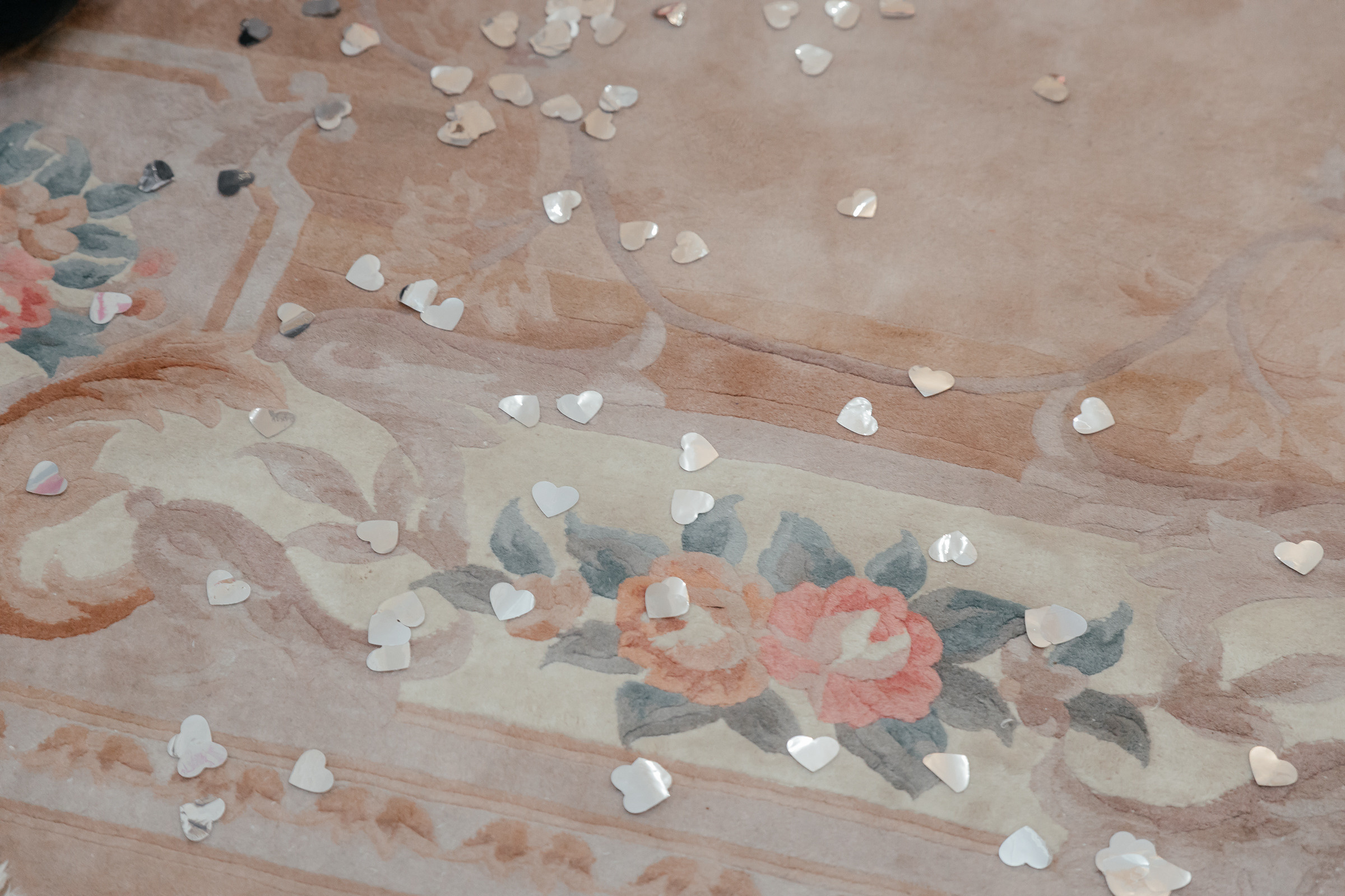 Gender Party дома