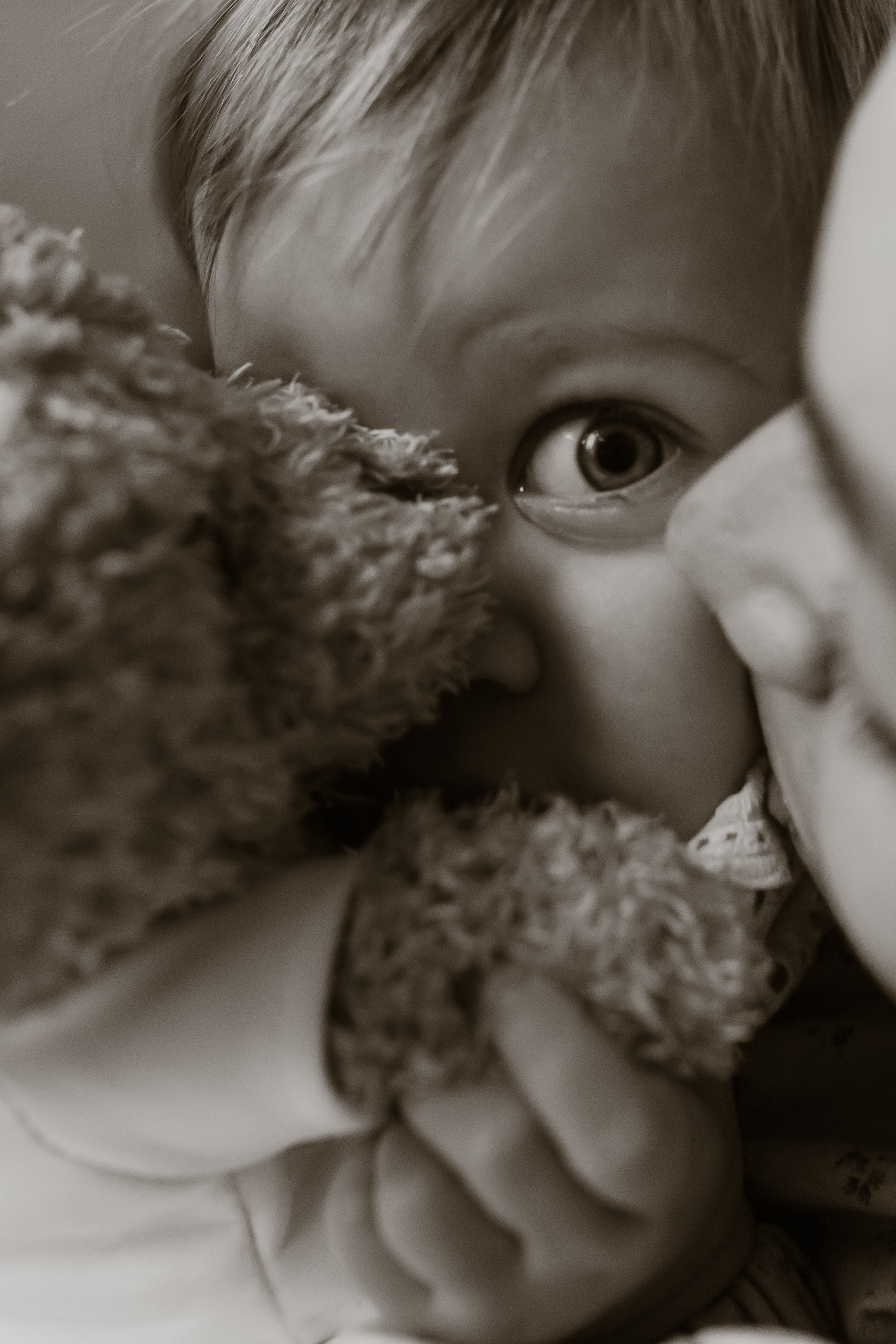 Домашняя. Семейный фотограф Полина Сарина Москва