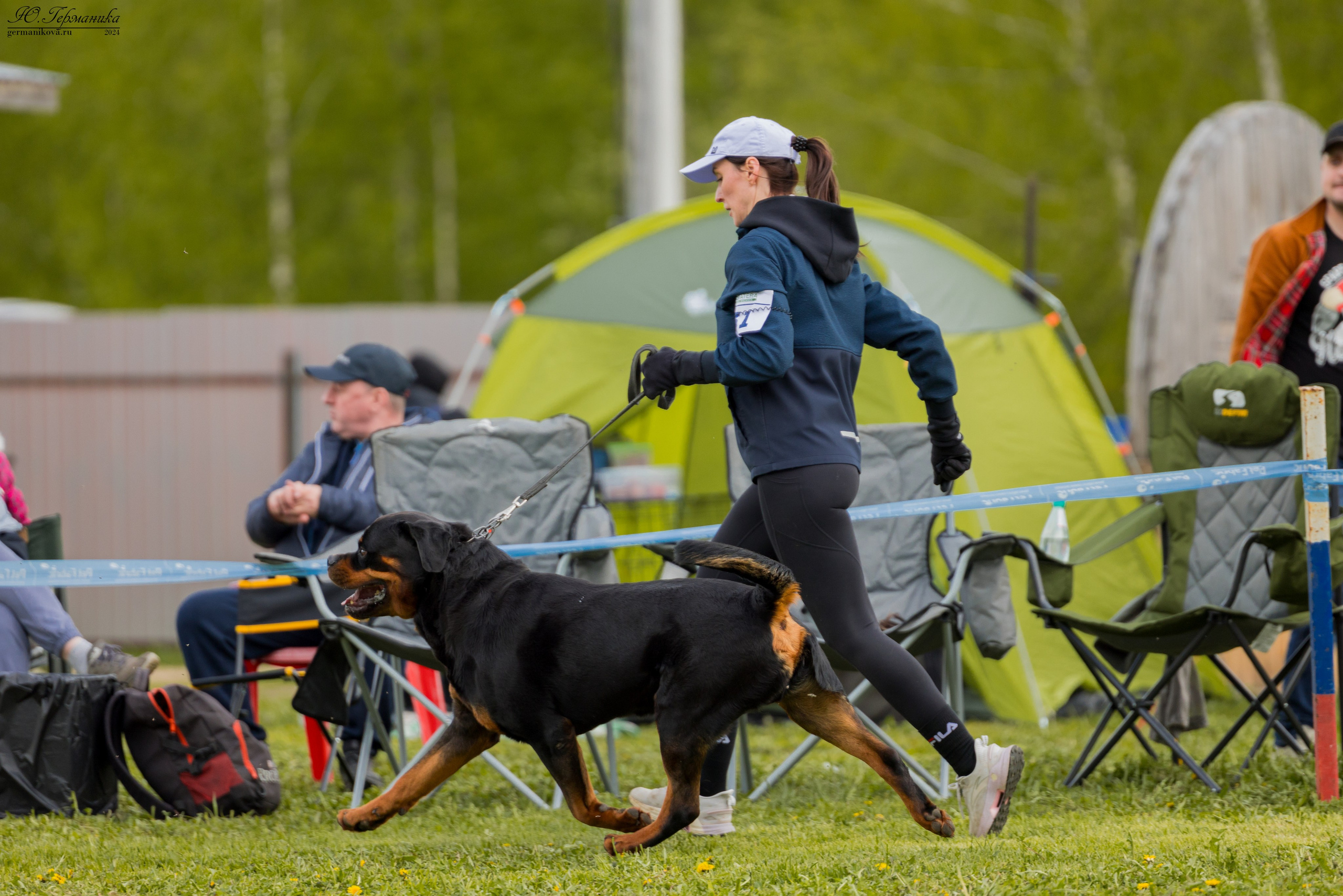 Нижний Новгород 11-12.05.2024 моно ротвейлеров. Фотограф-анималист Юлия Германика