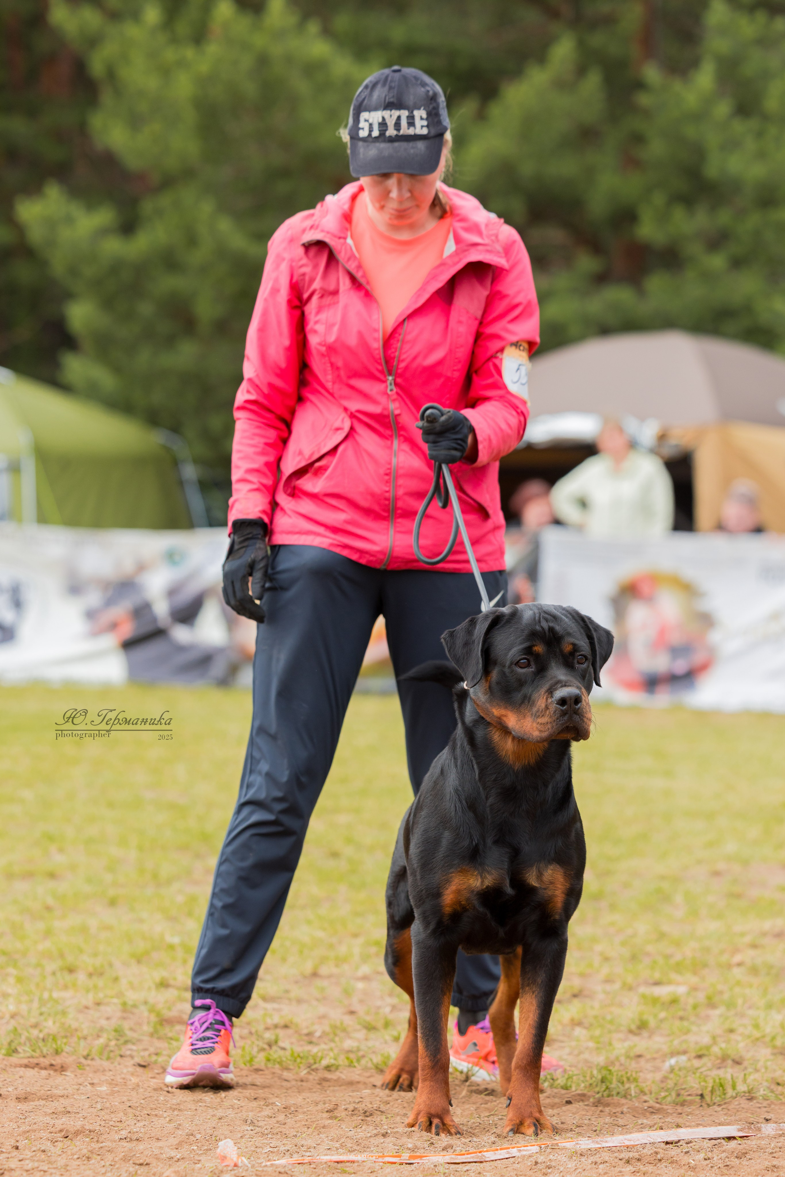 Тверь ротвейлеры 5-6.07.2025. Фотограф-анималист Юлия Германика