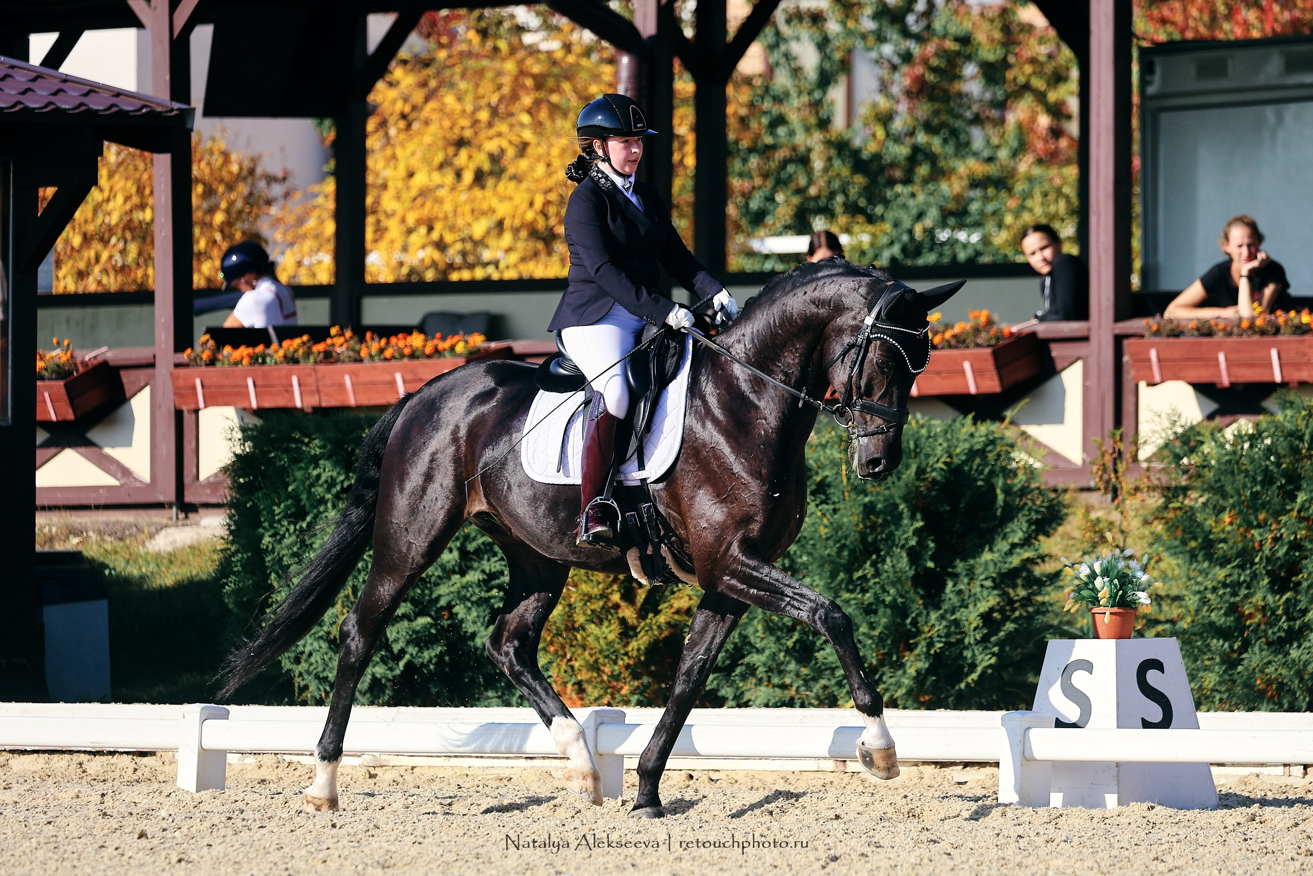 2023.09.22-24 Чемпионат MM Eurasia по средним ездам, Maxima Stables | 09'2023. Репортажный фотограф и ретушер в Москве Наталья Алексеева