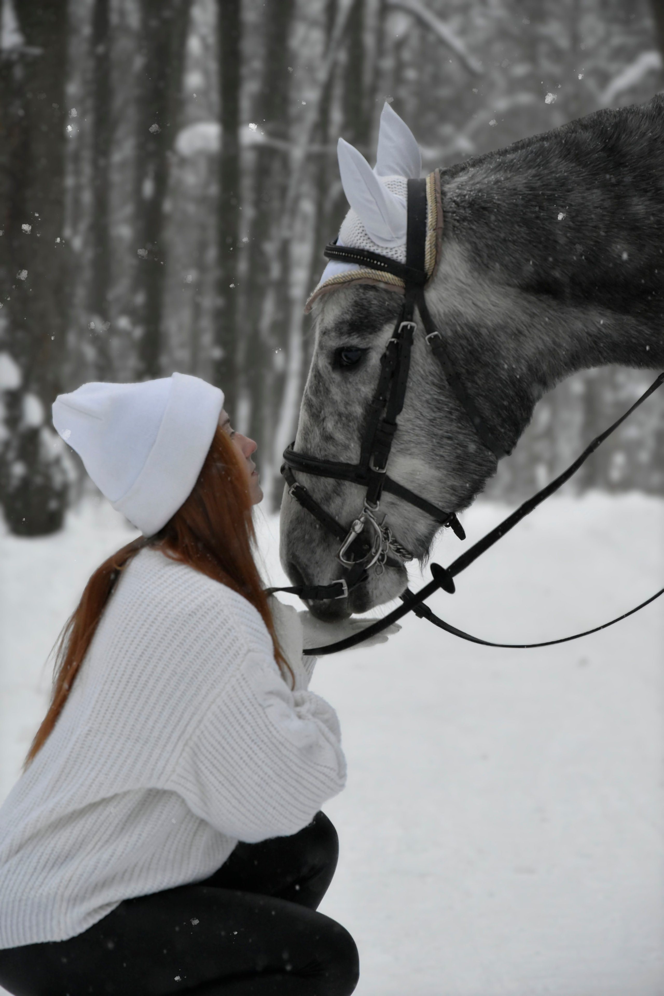 Владислава и Хантер. Фотосессия. Конный фотограф Москва