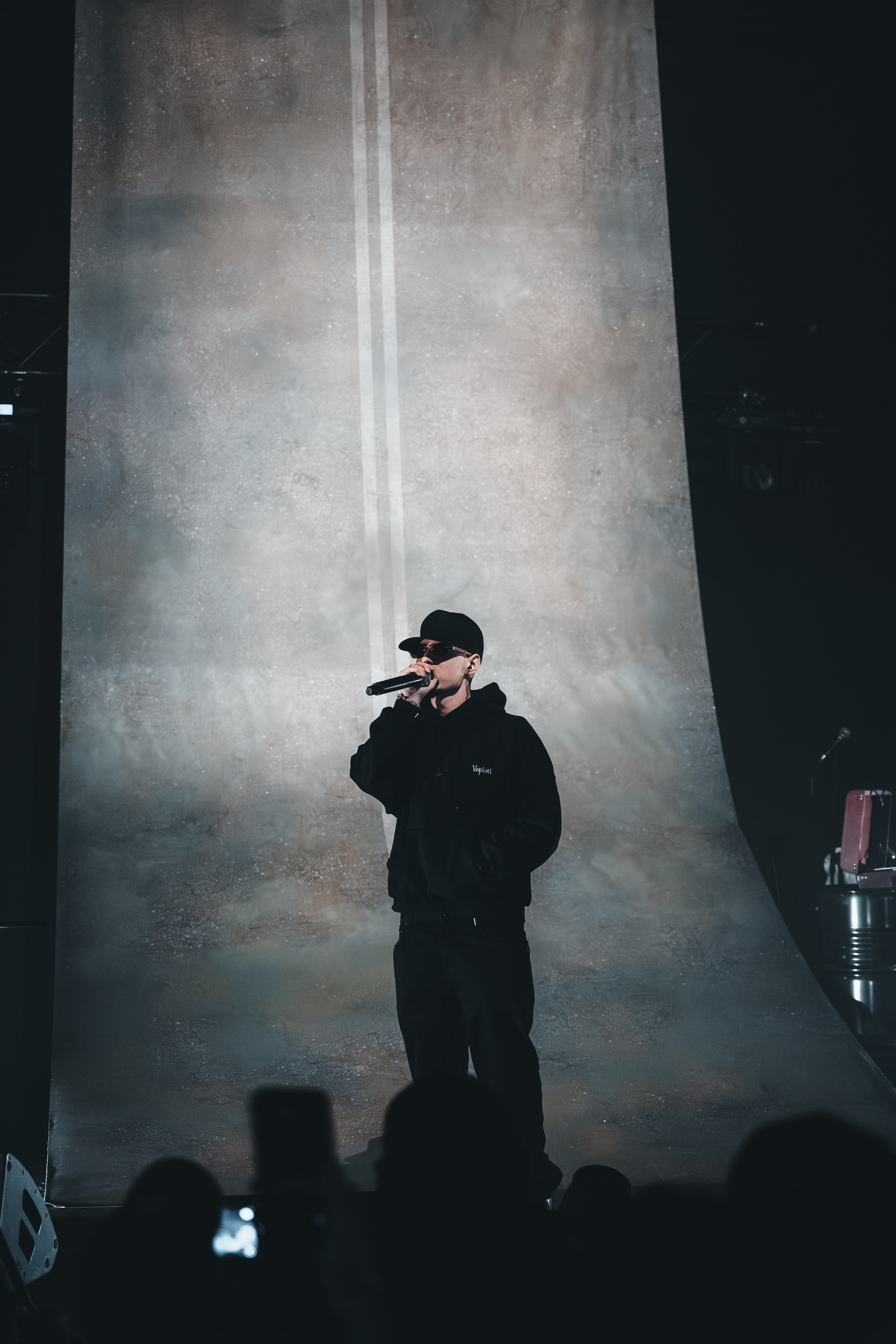 SALUKI. Фотограф Санкт-Петербурга