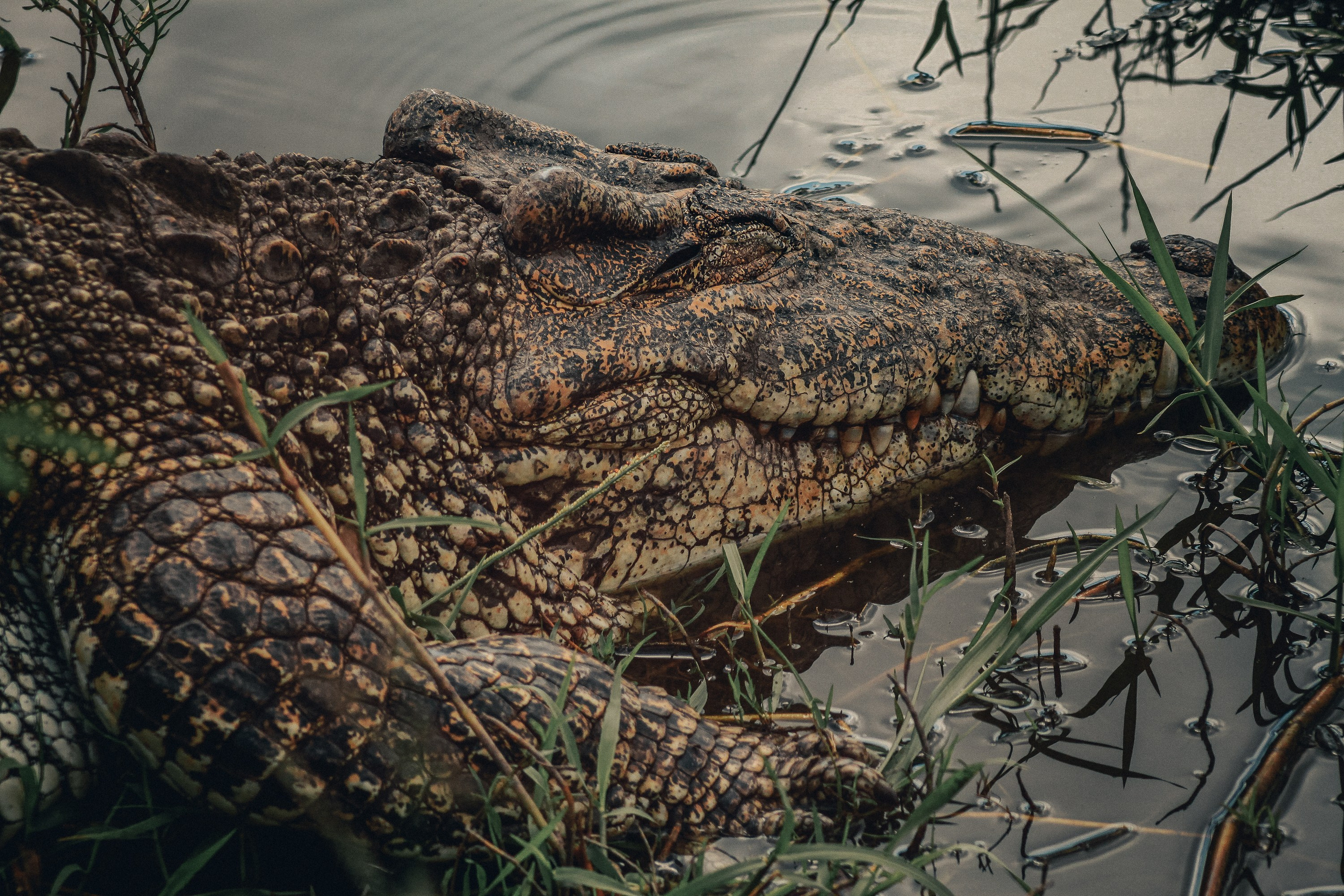 Куба. Фотошкола ArtFotoLife для начинающих и продвинутых фотографов