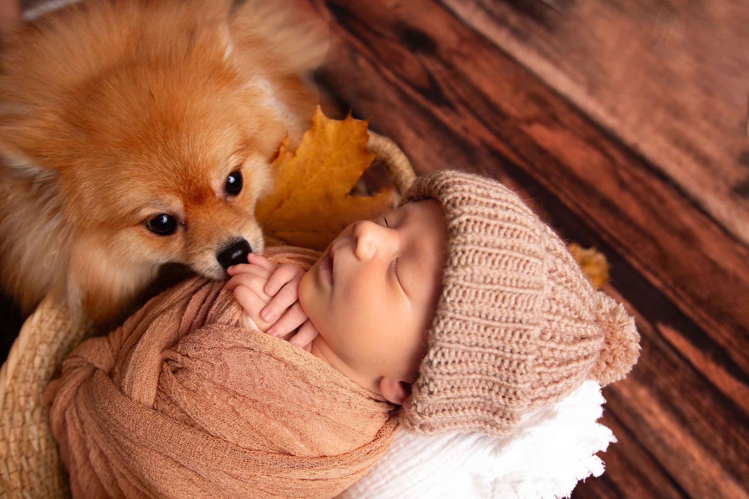 Новорожденный и собачка