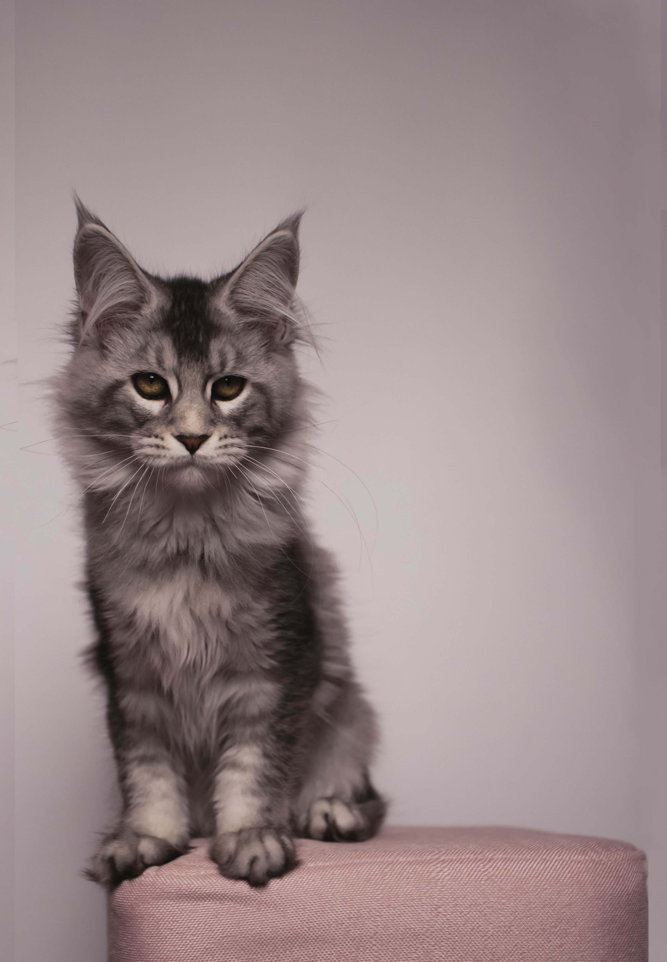 HanFors. Женский и предметный фотограф