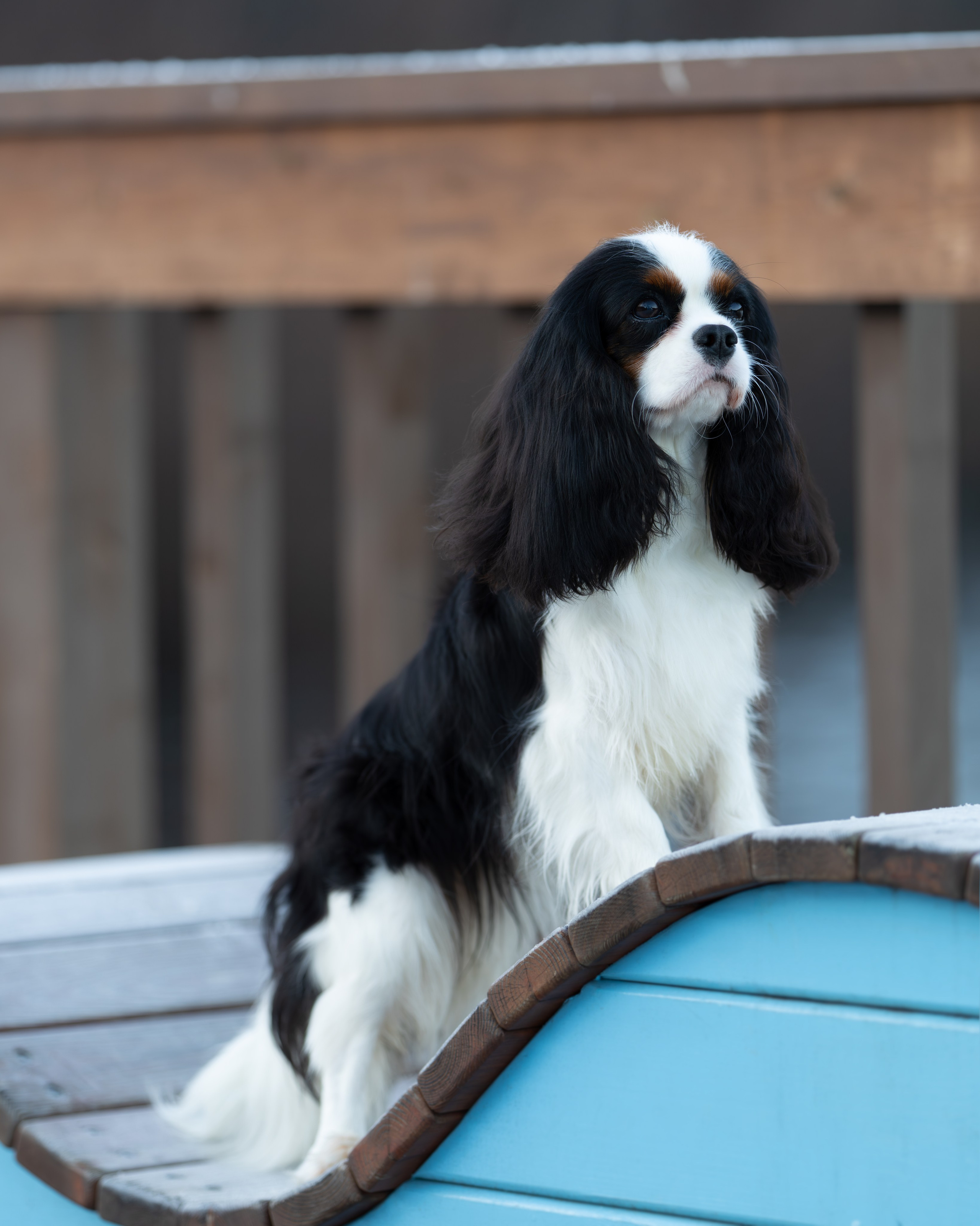 ККЧС Луна. Главная