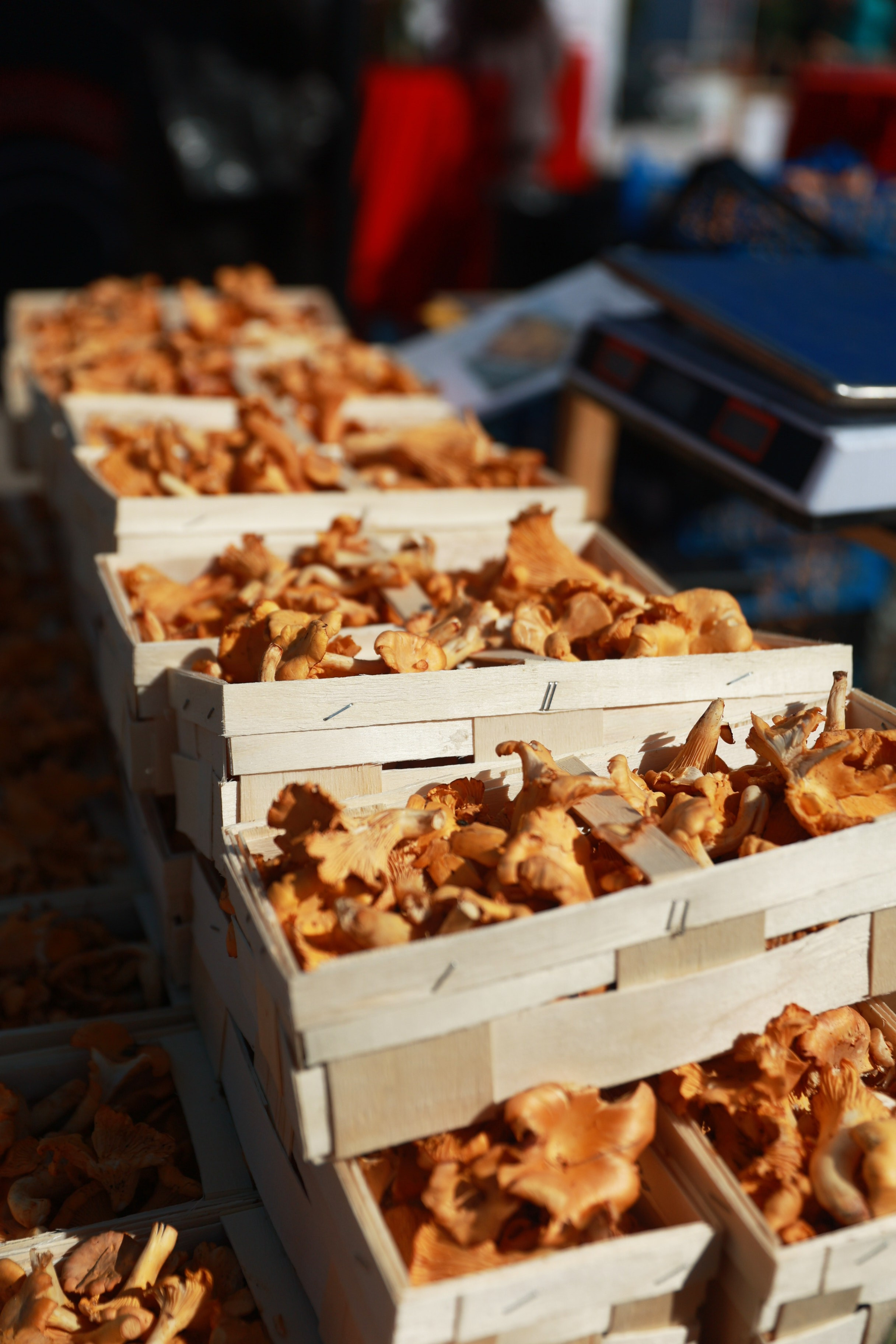 Городской фестиваль еды и малых промыслов «100% креатив». Татьяна Фомичева. Репортажный и светский фотограф в Москве