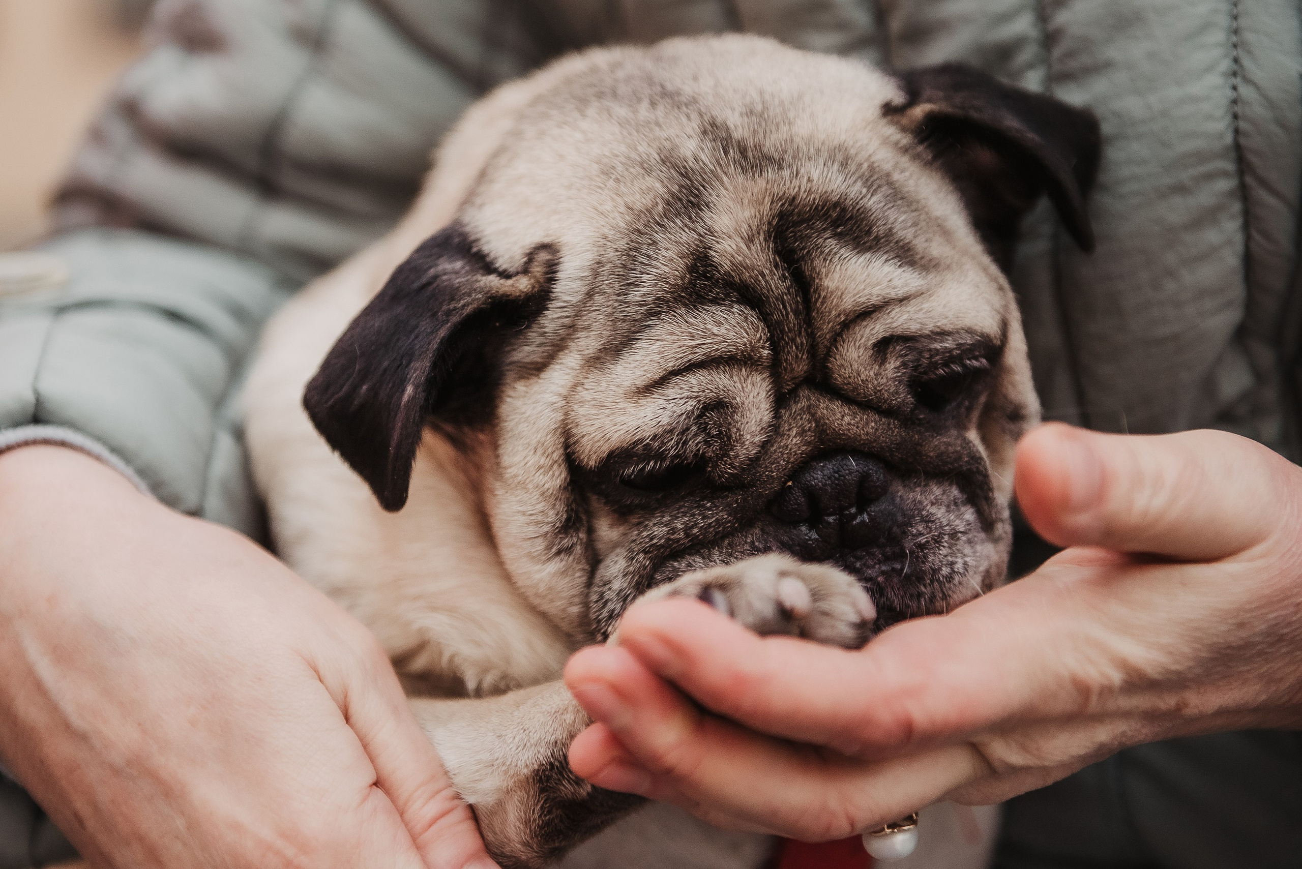 Ольга и Потапум. Прогулка к чайному дому. Семейный Фотограф в Москве Ирина Хохлова