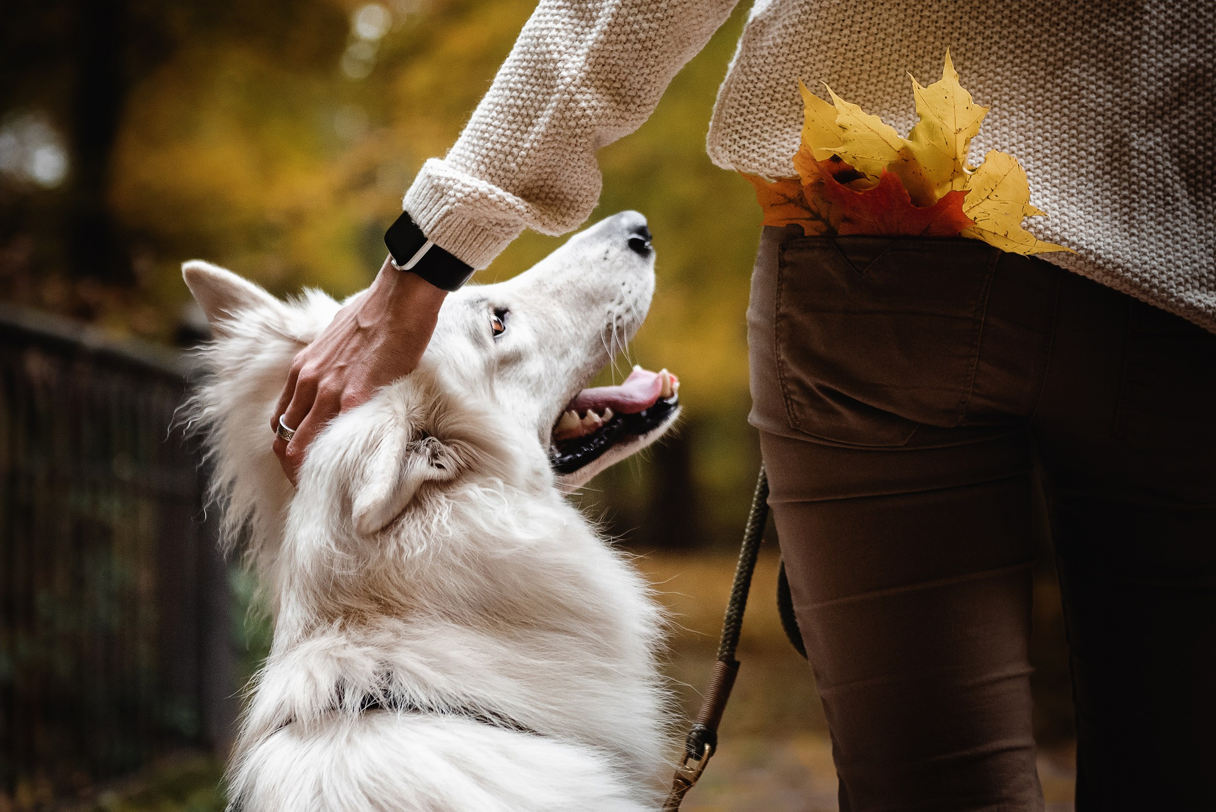 Катя и Джек. Семейный Фотограф в Москве Ирина Хохлова