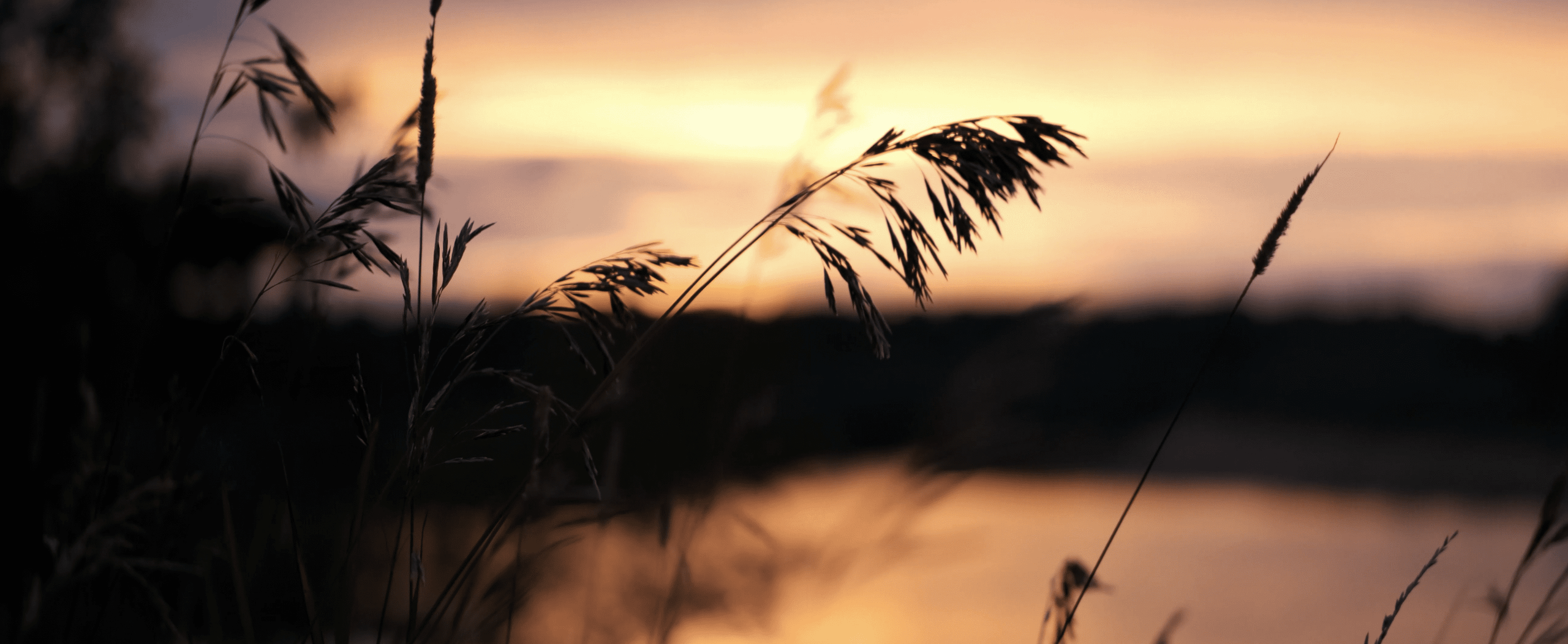 Клипы и короткометражные фильмы. Видеопроизводство. Антон Тихонов