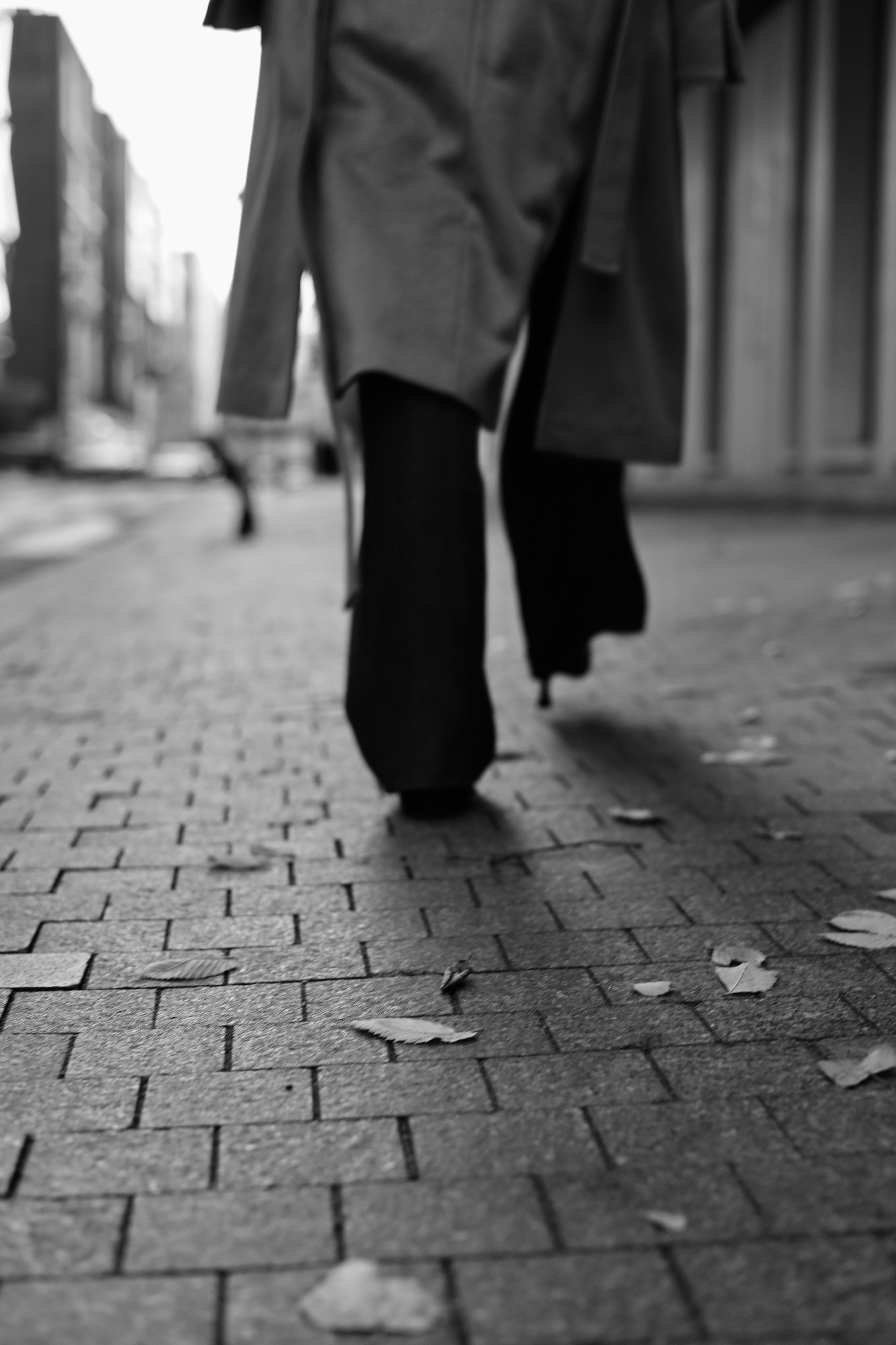 Прогулочная съемка|Варвара|11|10|24. Проектный фотограф Анна Мирош