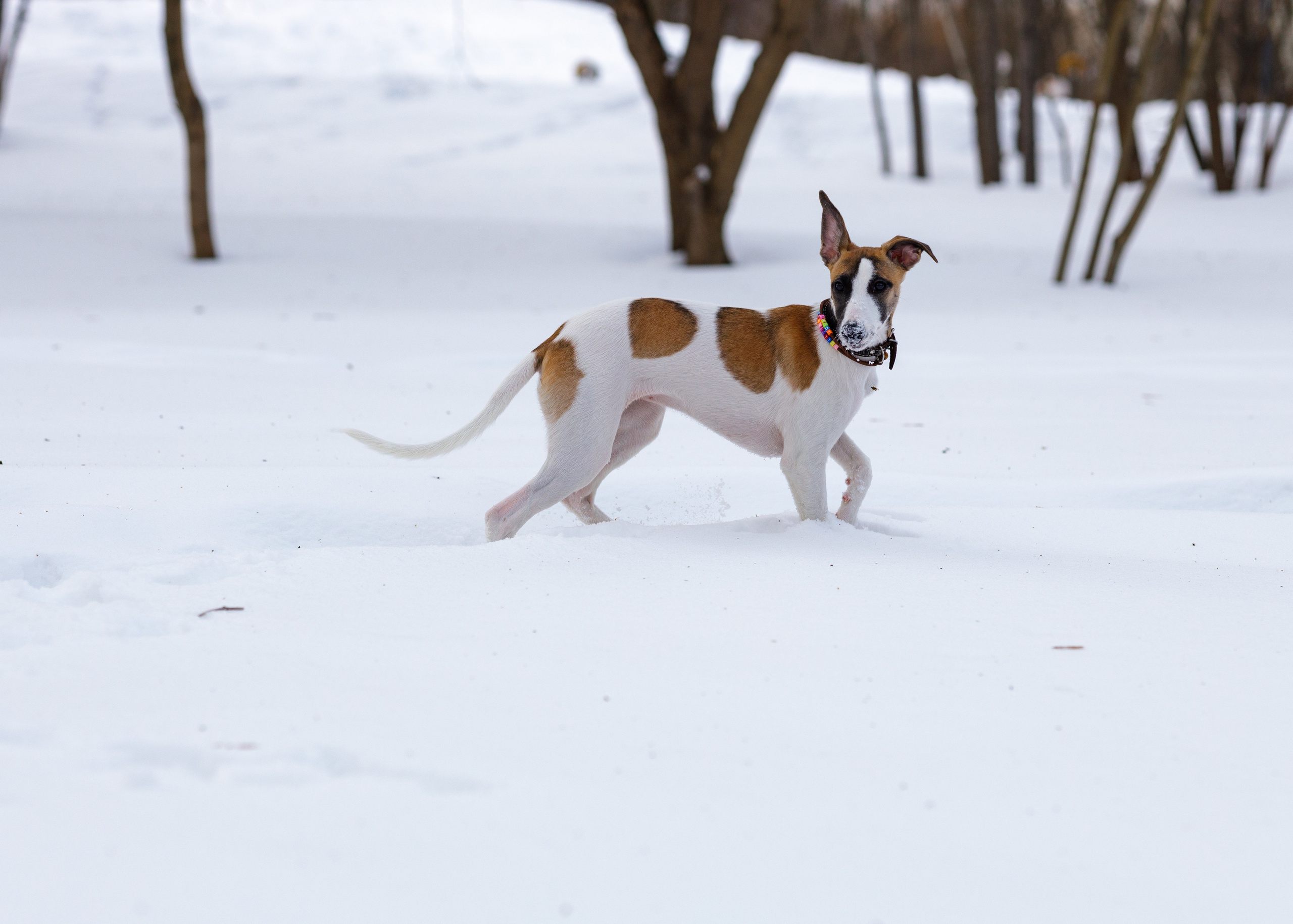 Ланди. Анна Самохина. Фотограф. Москва