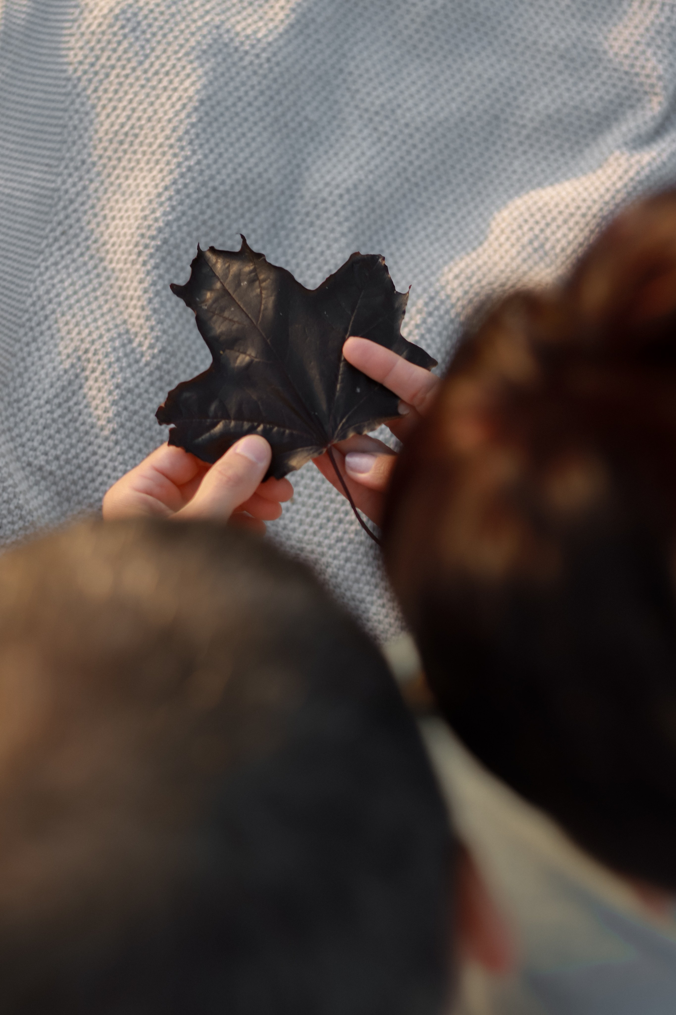 Закат в парке. Фотограф Анна Никитина | Йошкар-Ола