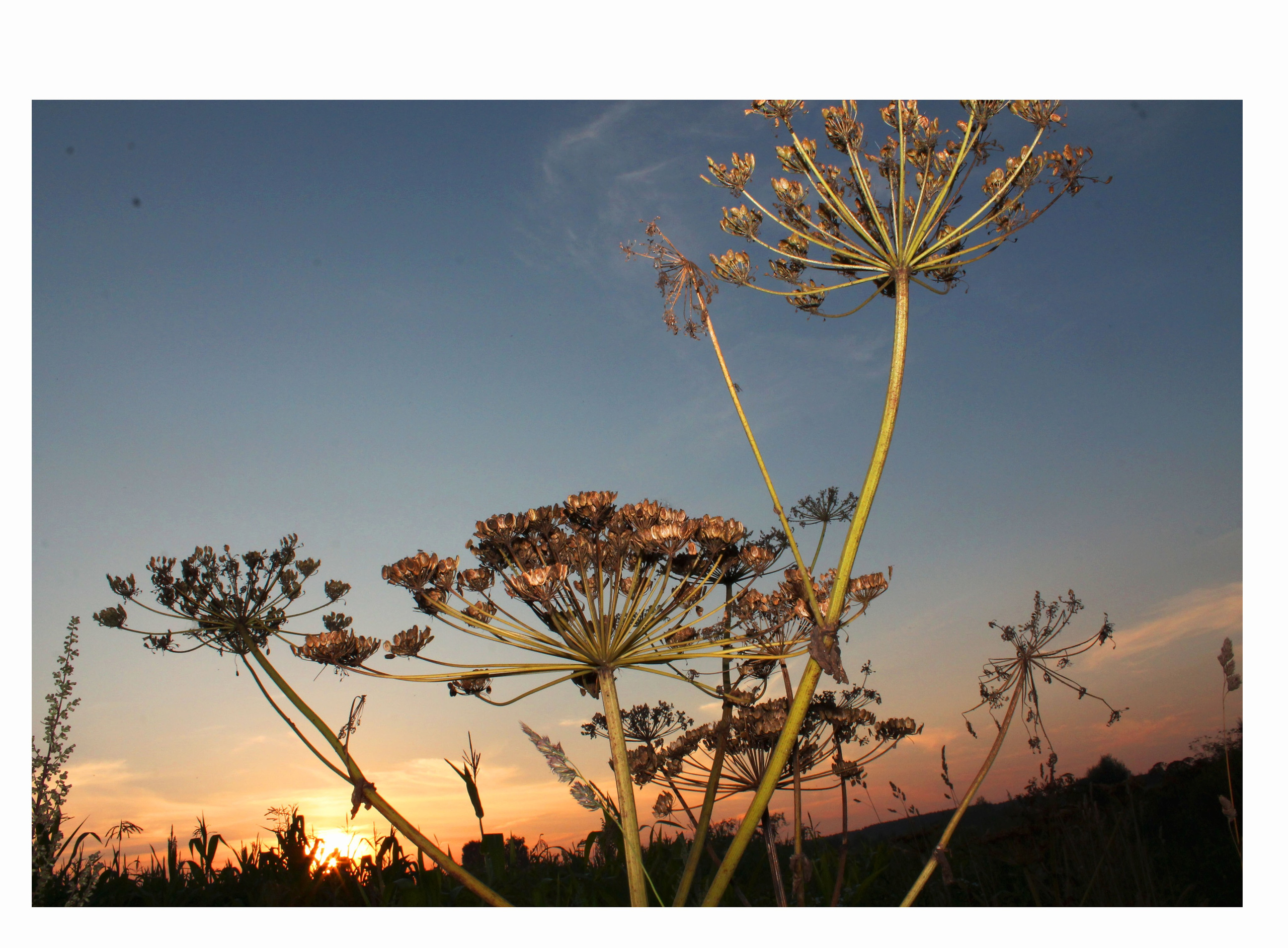 Мои первые работы. Фотограф из Москвы — DASHA NOVA | Авторская фотография в разных жанрах