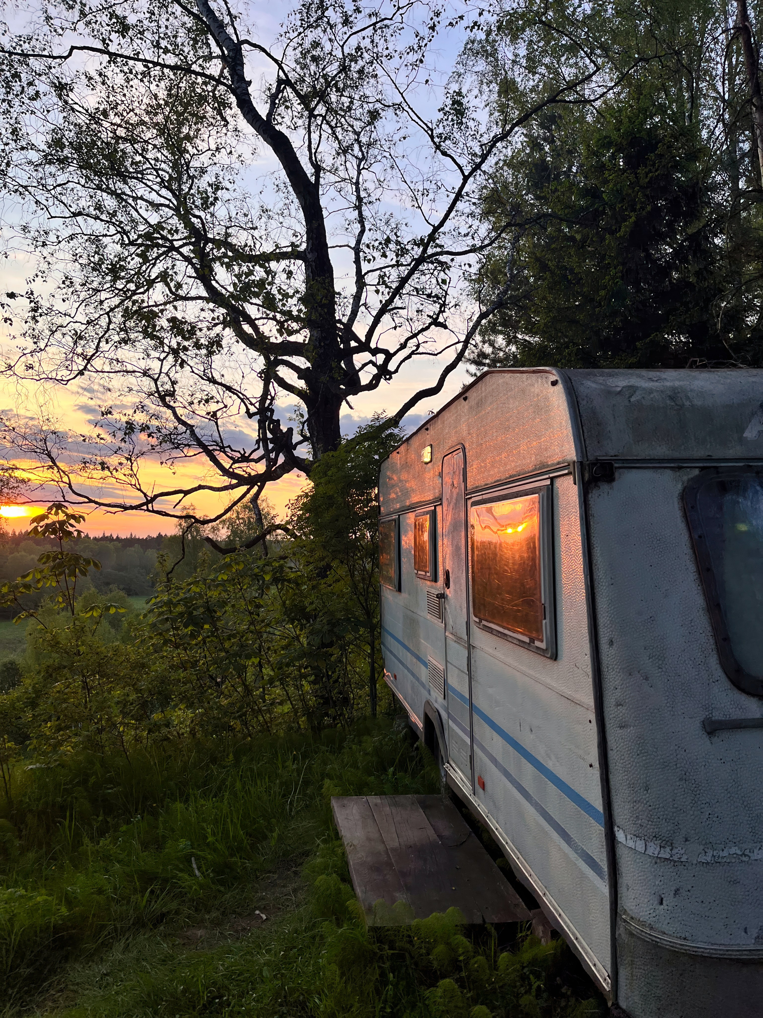 На берегу Угры. Конец мая 2024 года. Фотограф Никифоров-Гордеев Сергей. Москва и МО