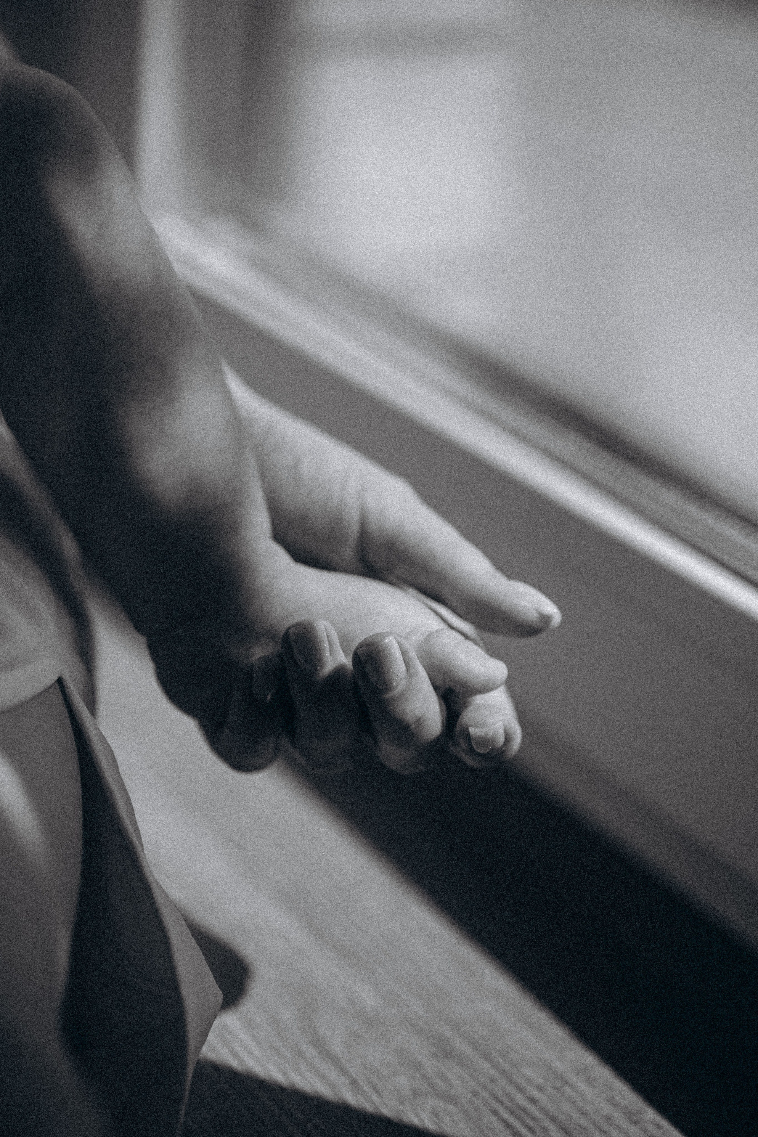 Артем Юля Лиза и кошка Мяу. Семейный фотограф Нижневартовск Тюмень Ефимова Ирина