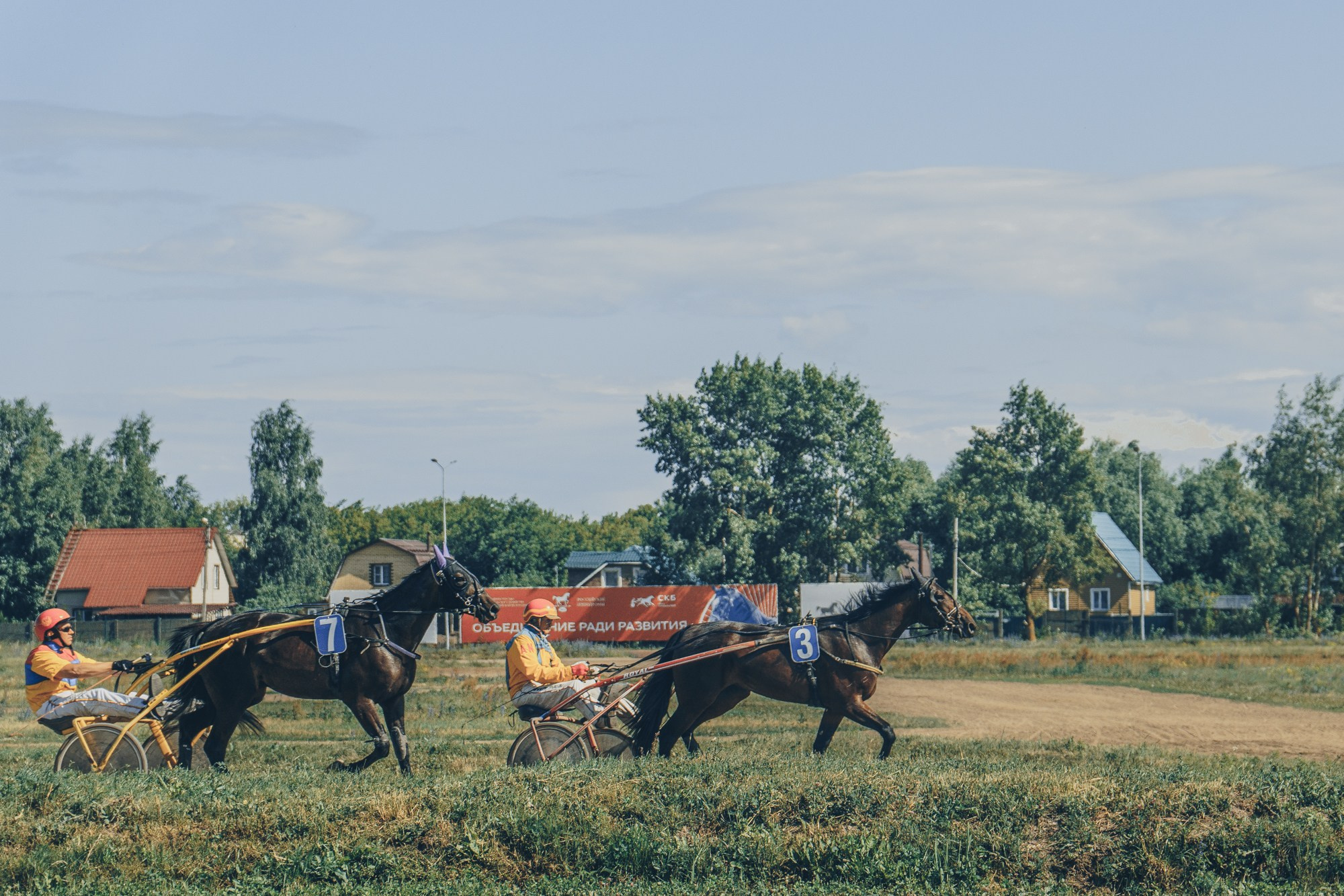 Раменский ипподром. Фотограф Яна Журавская Спб / Москва