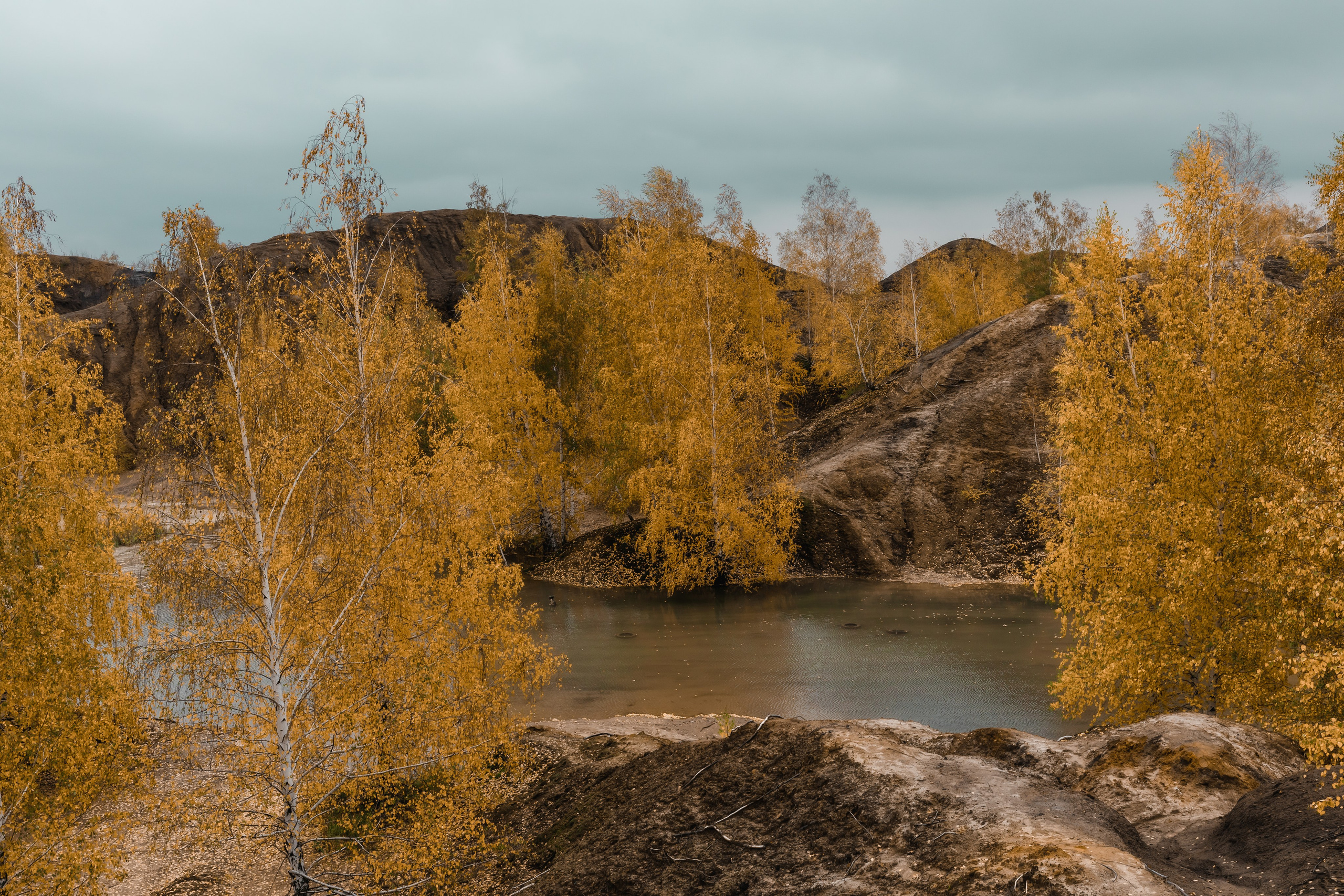 Кондуки. Октябрь 2023. Фотографии