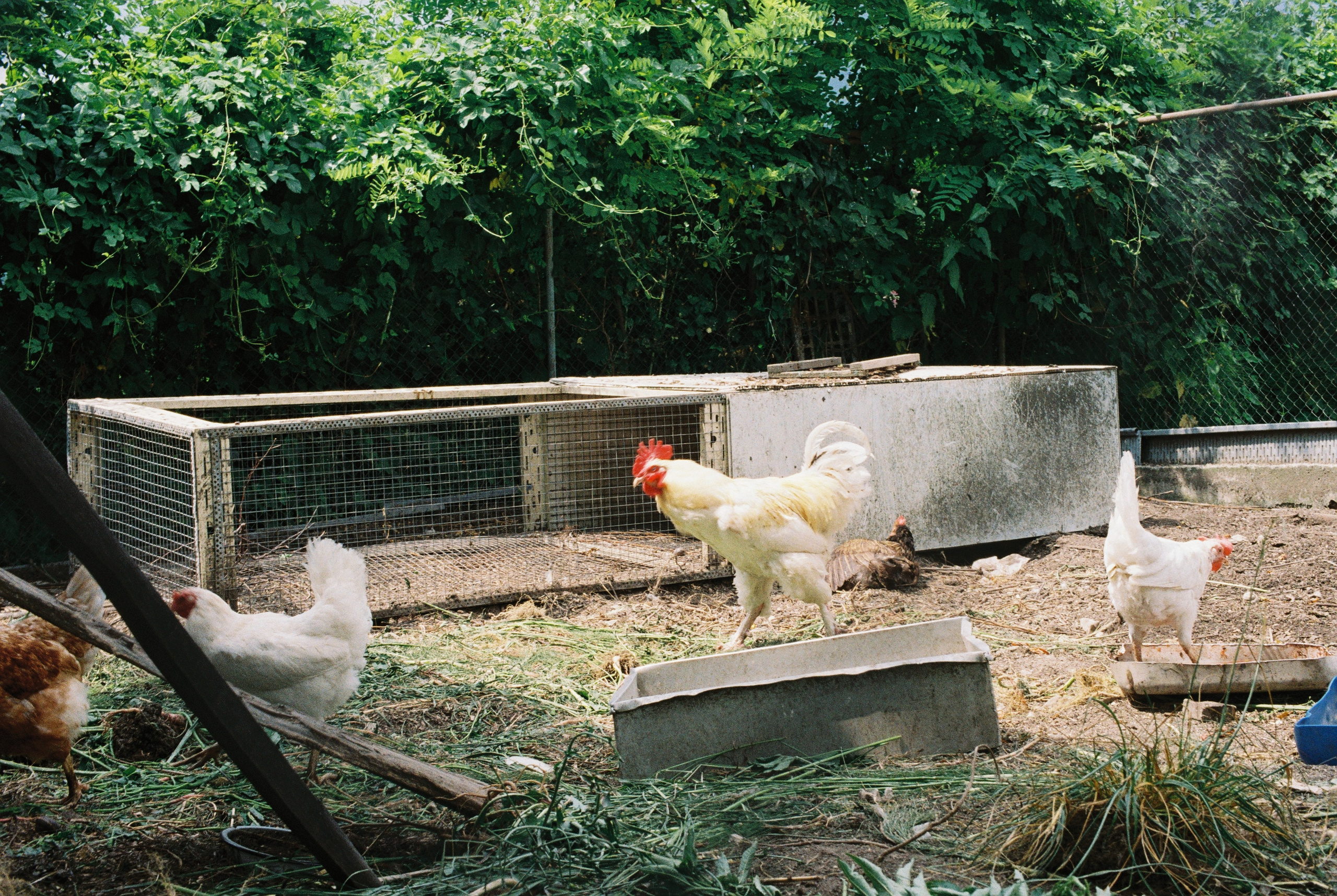 EXHIBITION. Репортажный и интерьерный фотограф, фотохудожник