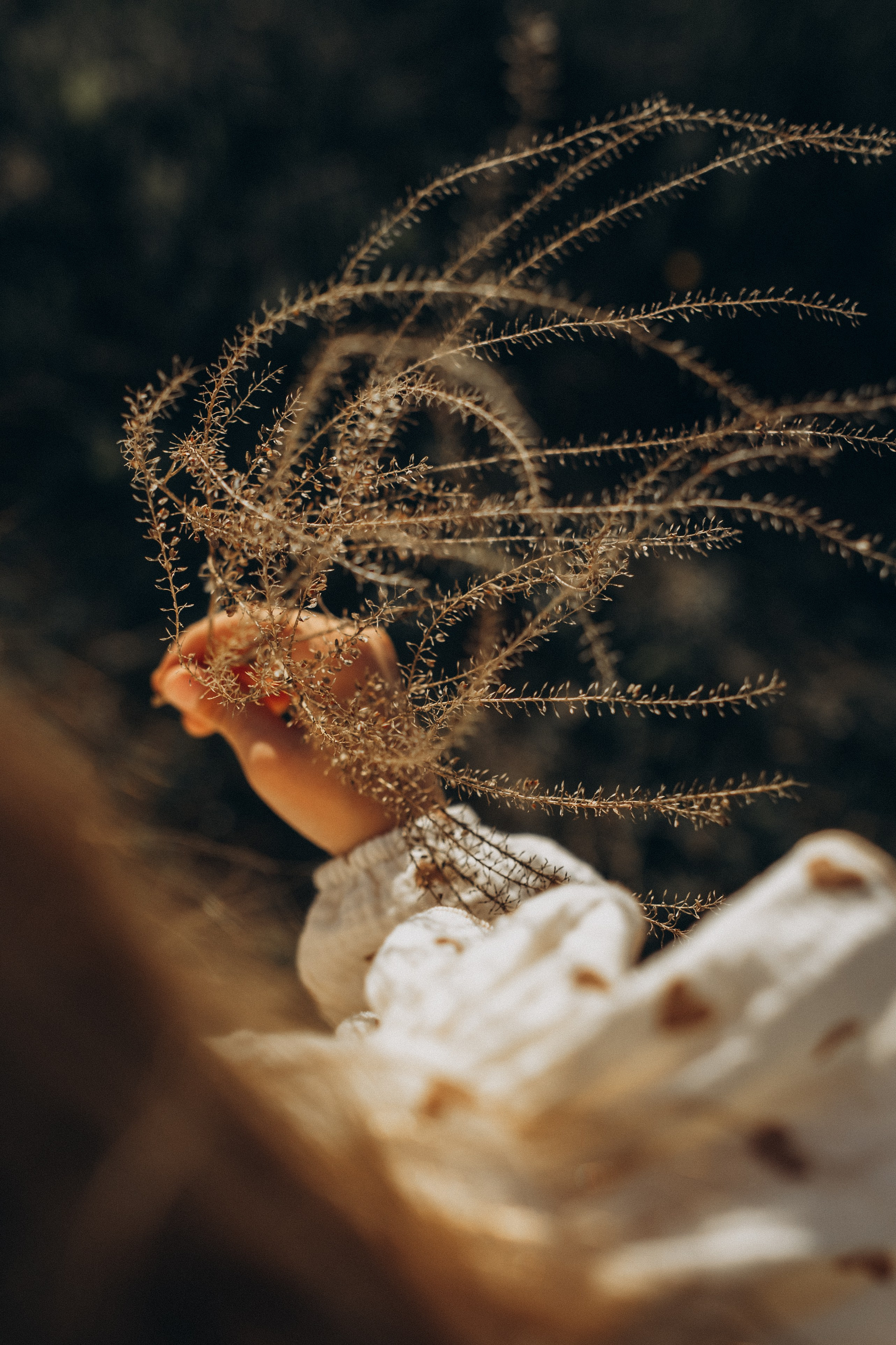 Саша, Миша, Вера и Вика летняя прогулочная съёмка. Семейный фотограф lifestyle в Новосибирске Елена Шпилевая