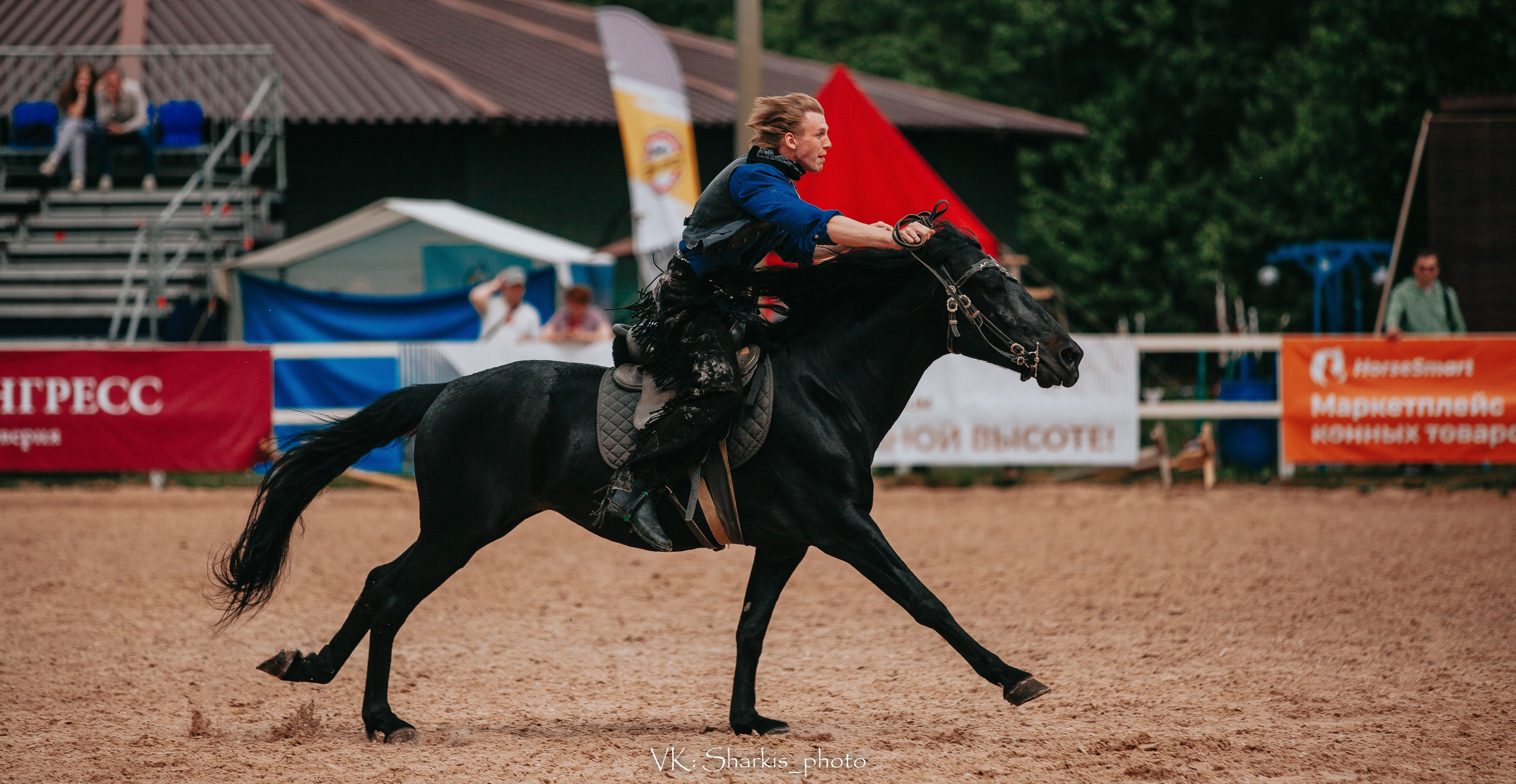 Лошади. Главная